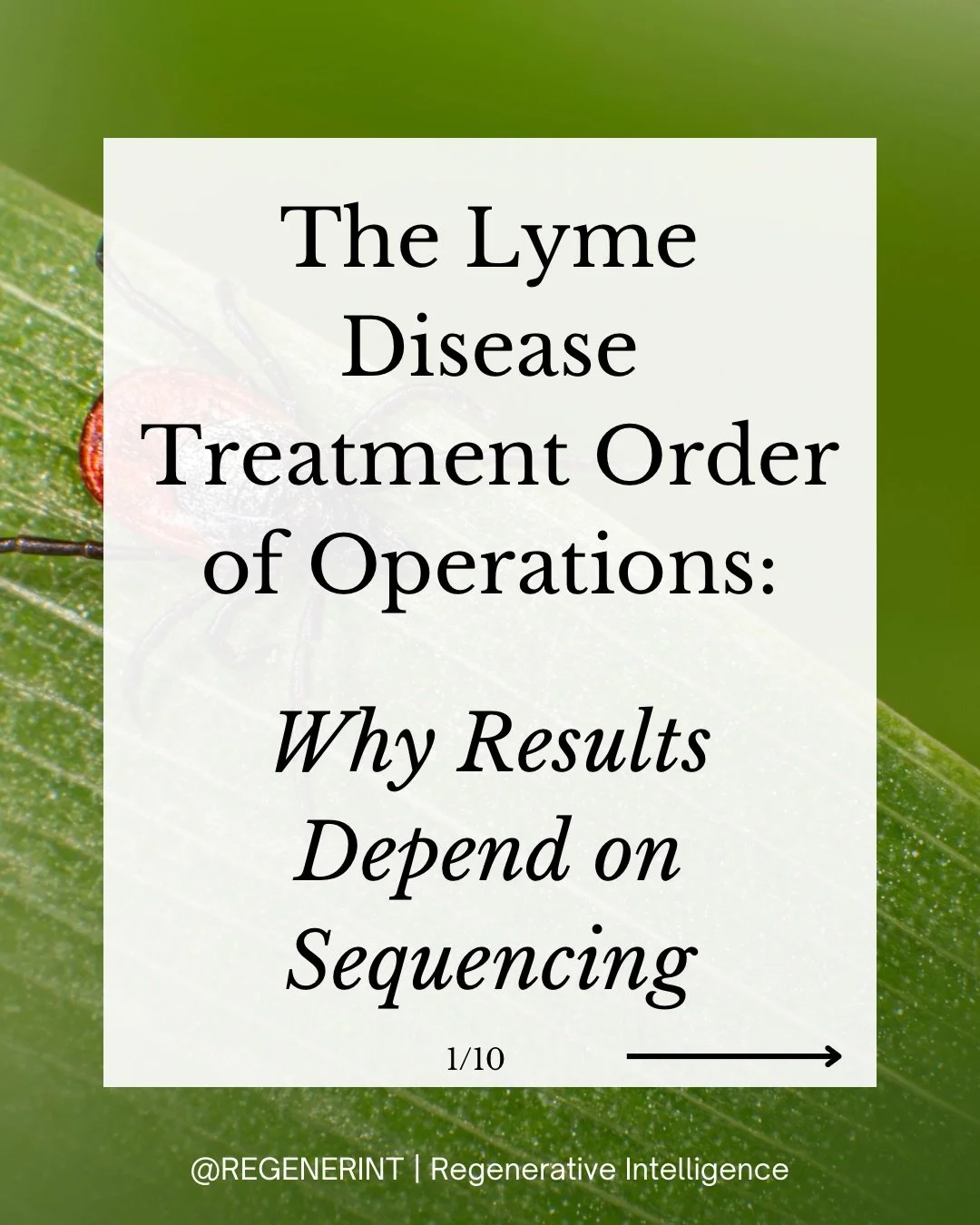 Many people attempting to heal from Lyme disease get trapped in an endless cycle of treatment failure and relapse. This usually comes down to two things: a failure to address treatment in a proper sequential order at the biochemical level, and failin
