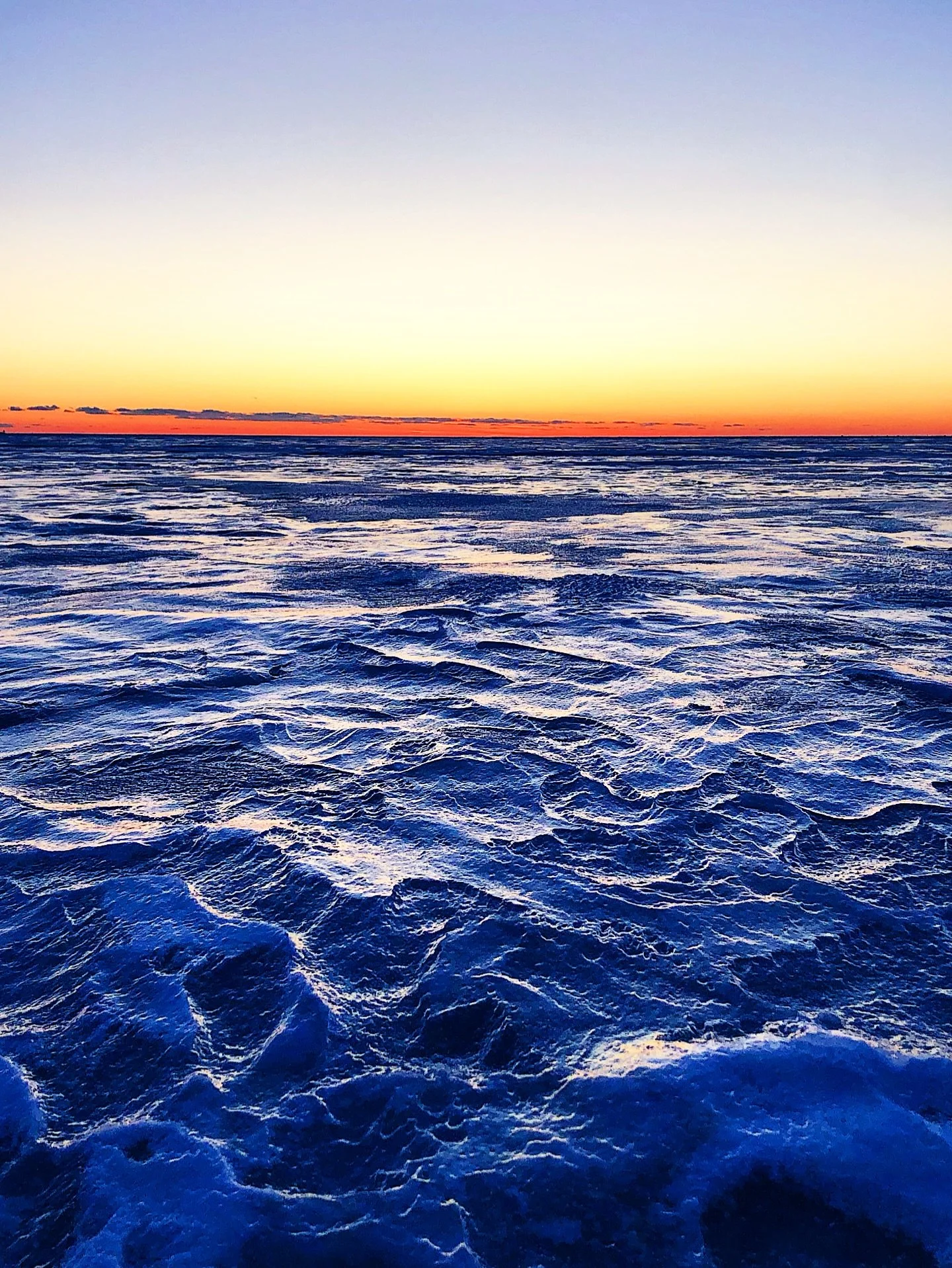 Six Quantum Biology Principles to Follow in 2026

1. See the sunrise consistently Morning sunlight sets the brain&rsquo;s master clock and synchronizes timing across every cell, supporting metabolism, hormone signaling, mitochondrial energy productio