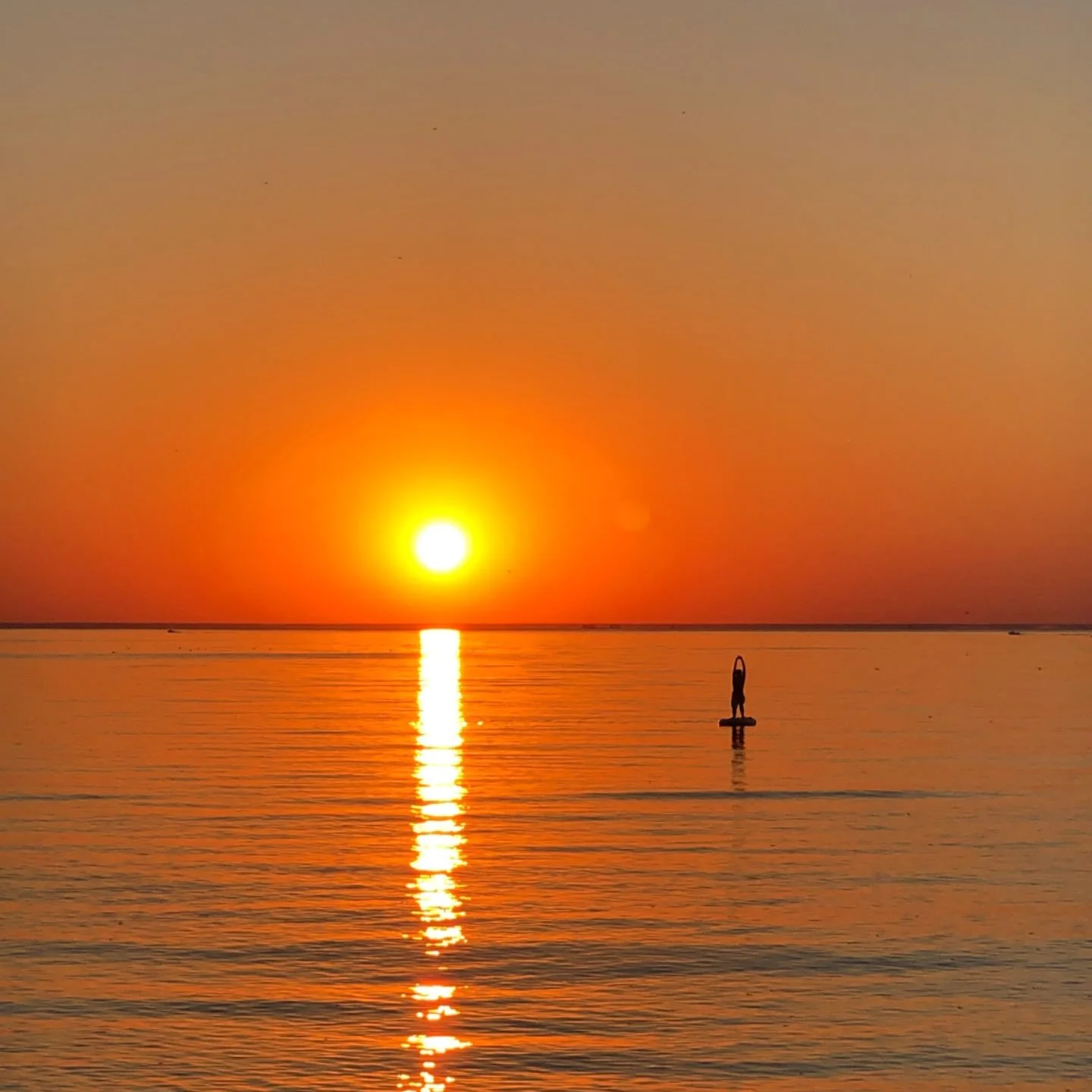 Looking for an accessible, affordable way to improve your sleep, energy, hormone health, neurotransmitter production, insulin management, focus, and overall mental and physical health?

My newly updated Circadian Optimization Guide is now available f