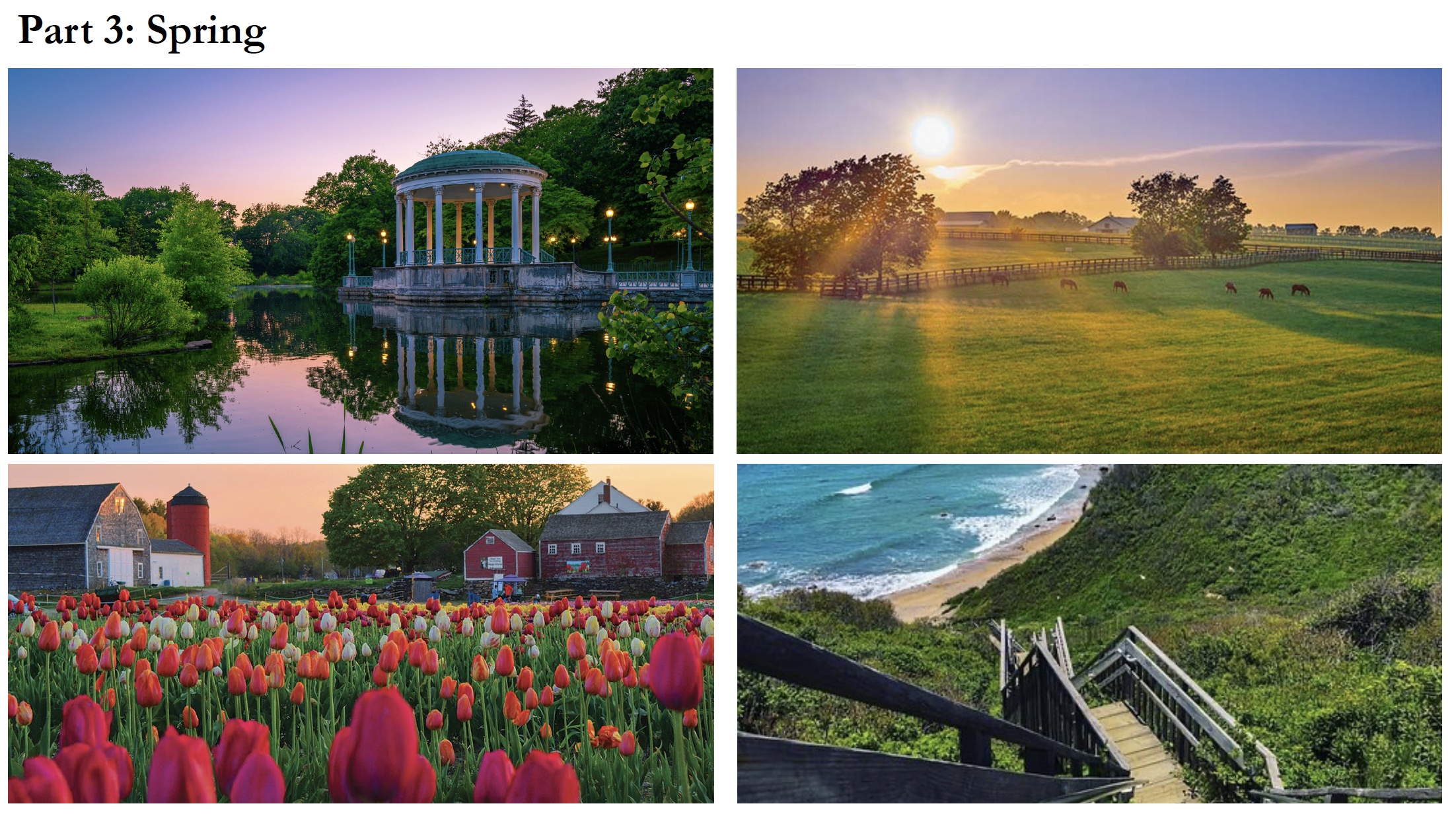 Screen Shot 2025-03-15 at 1.46.46 AM.png