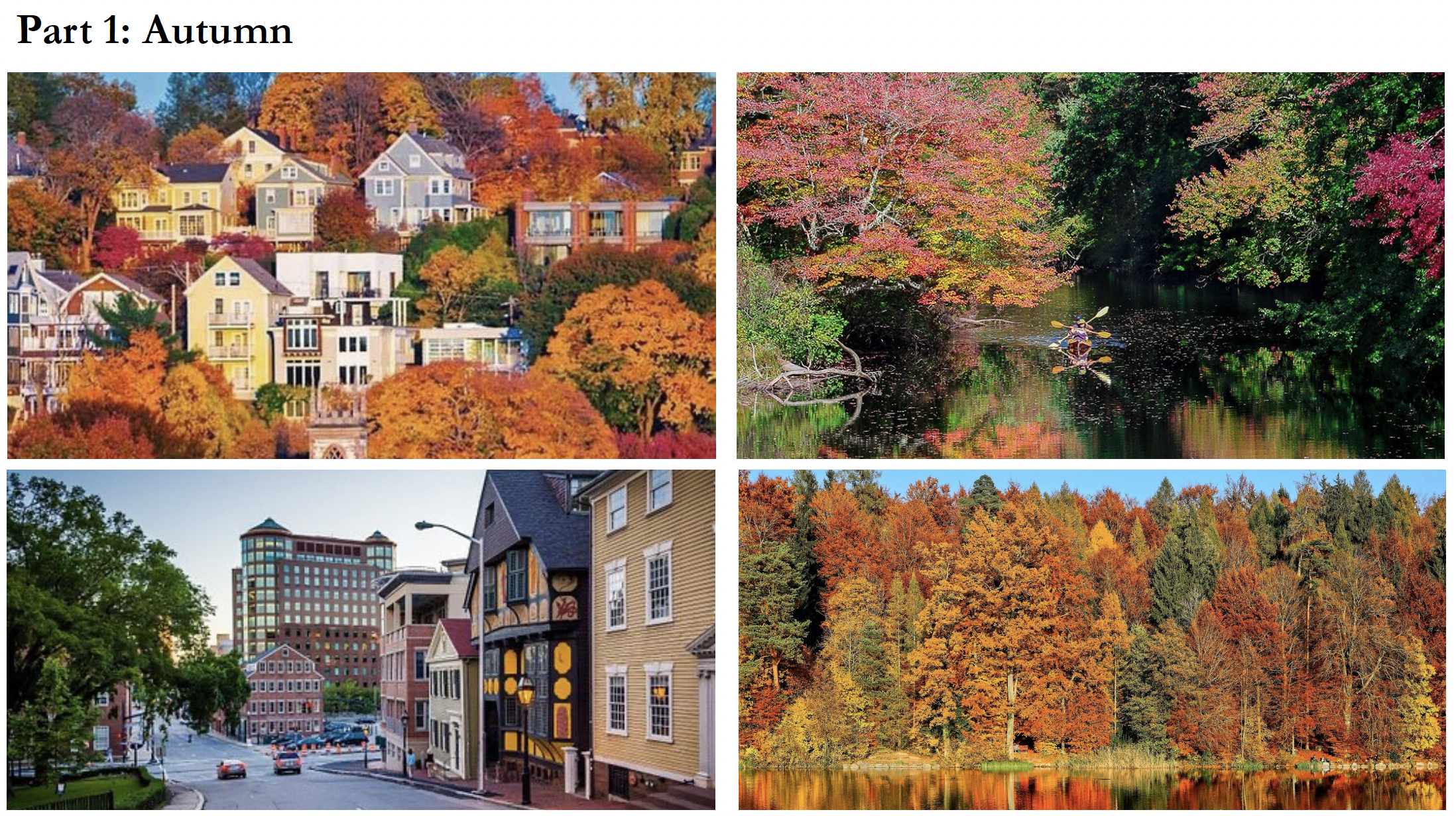 Screen Shot 2025-03-15 at 1.46.08 AM.png