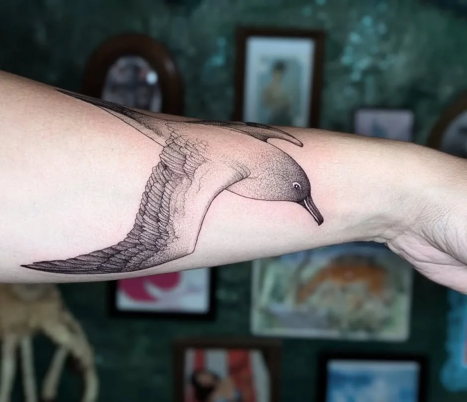 Light-mantled sooty Albatros for Minh-Xuan 🐦
Thank you for you trust on this specific bird tattoo! I love to do this kind of smaller, since impactful pieces.

I'm available for tattoo at @speakeasytattooparlour 
Share you ideas with me 👀

*****

Pr