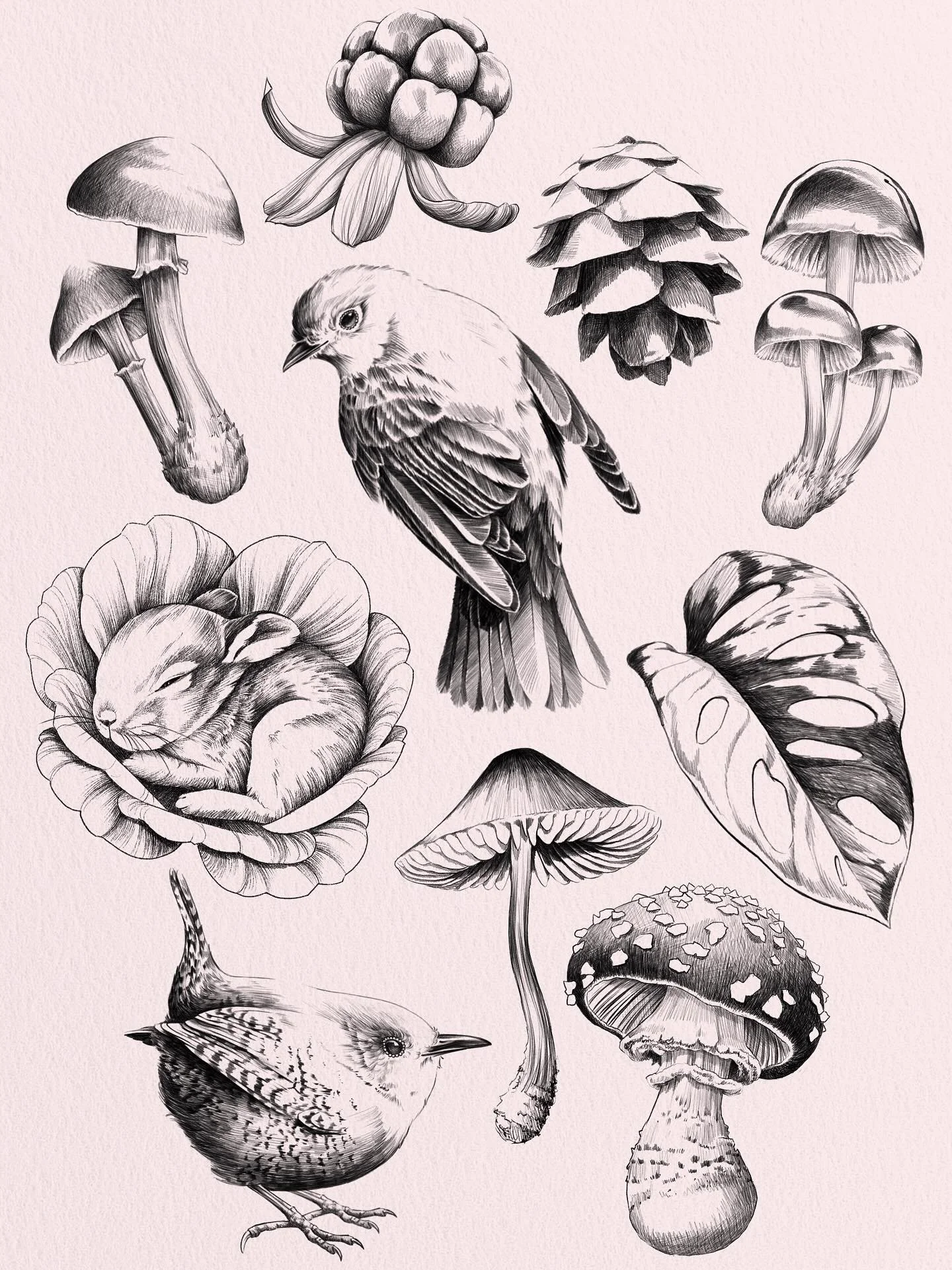 Autumn nature flash sheet ready to find their homes!

I&rsquo;ve been drawing these cozy fall elements, available to be tattooed now at @speakeasytattooparlour . If one of them speaks to you, or if you&rsquo;d like to mix a few elements together, let