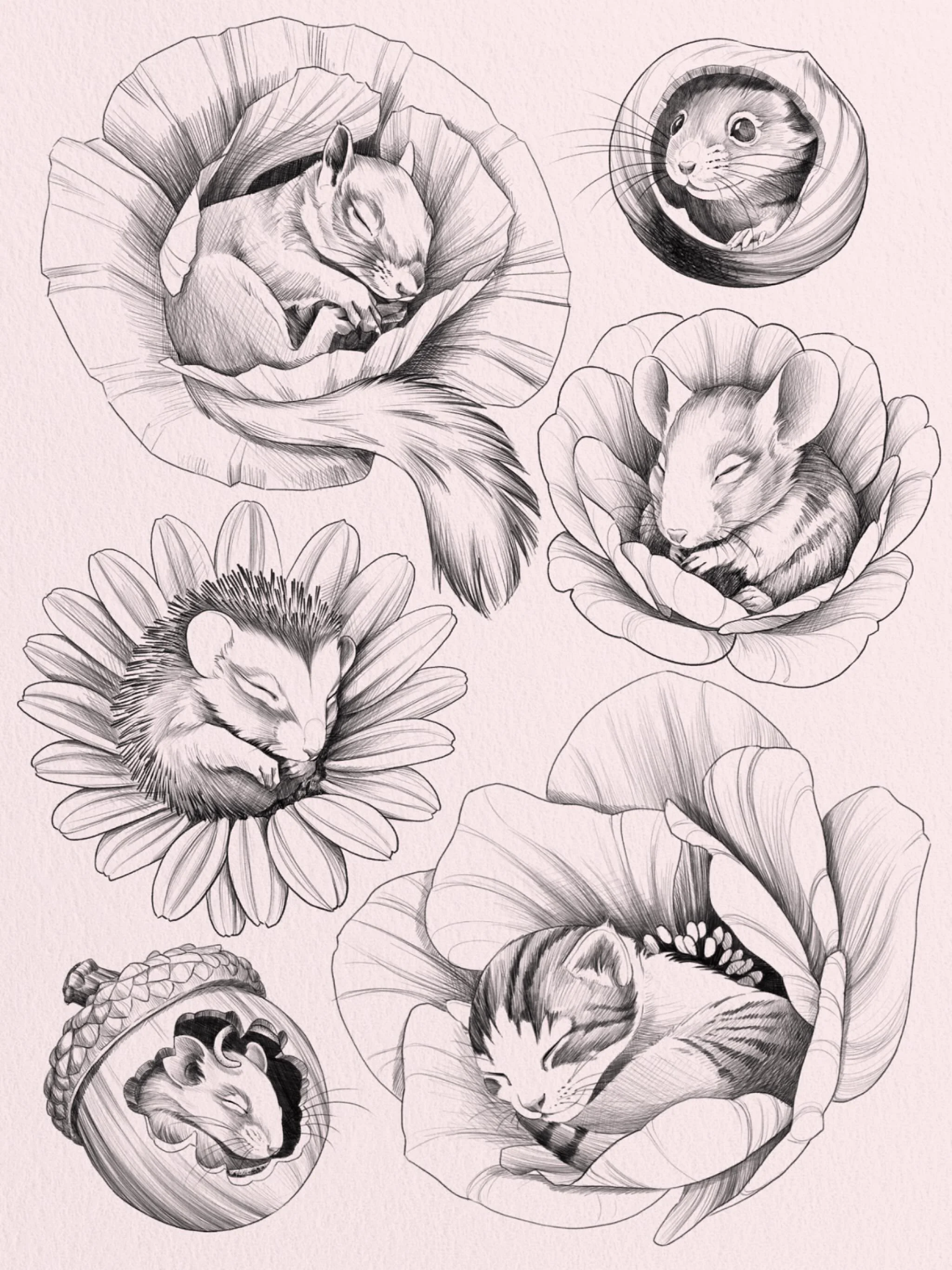 After the huge success of the sleeping rabbit in a flower, I decided to create a whole series of flashes of sleepy baby animals nestled in blooms 🐹
Meet the new family: tiny mouses, a hedgehog tucked into softness, a dozing squirrel, and a sleeping 