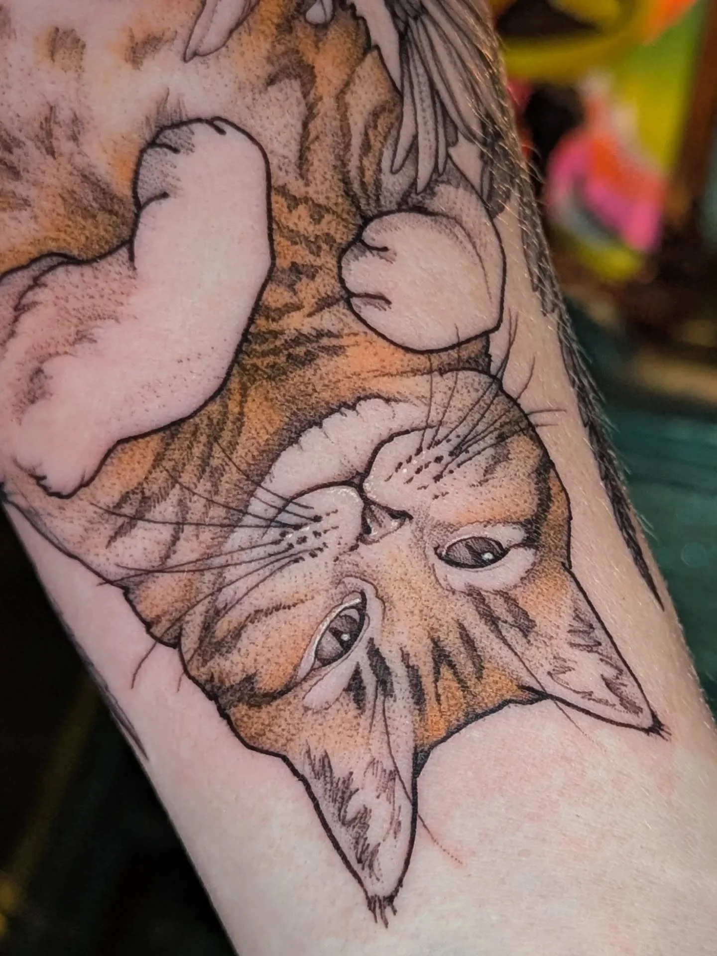 A Cozy Cat Portrait for Alexx 🧡

When Alexx reached out, she wanted a special memorial piece for her dear cat, Twixen, who often laid on her back, happy and comfortable. This posture, facing her on the forearm, was key to keeping Twixen close.

We b