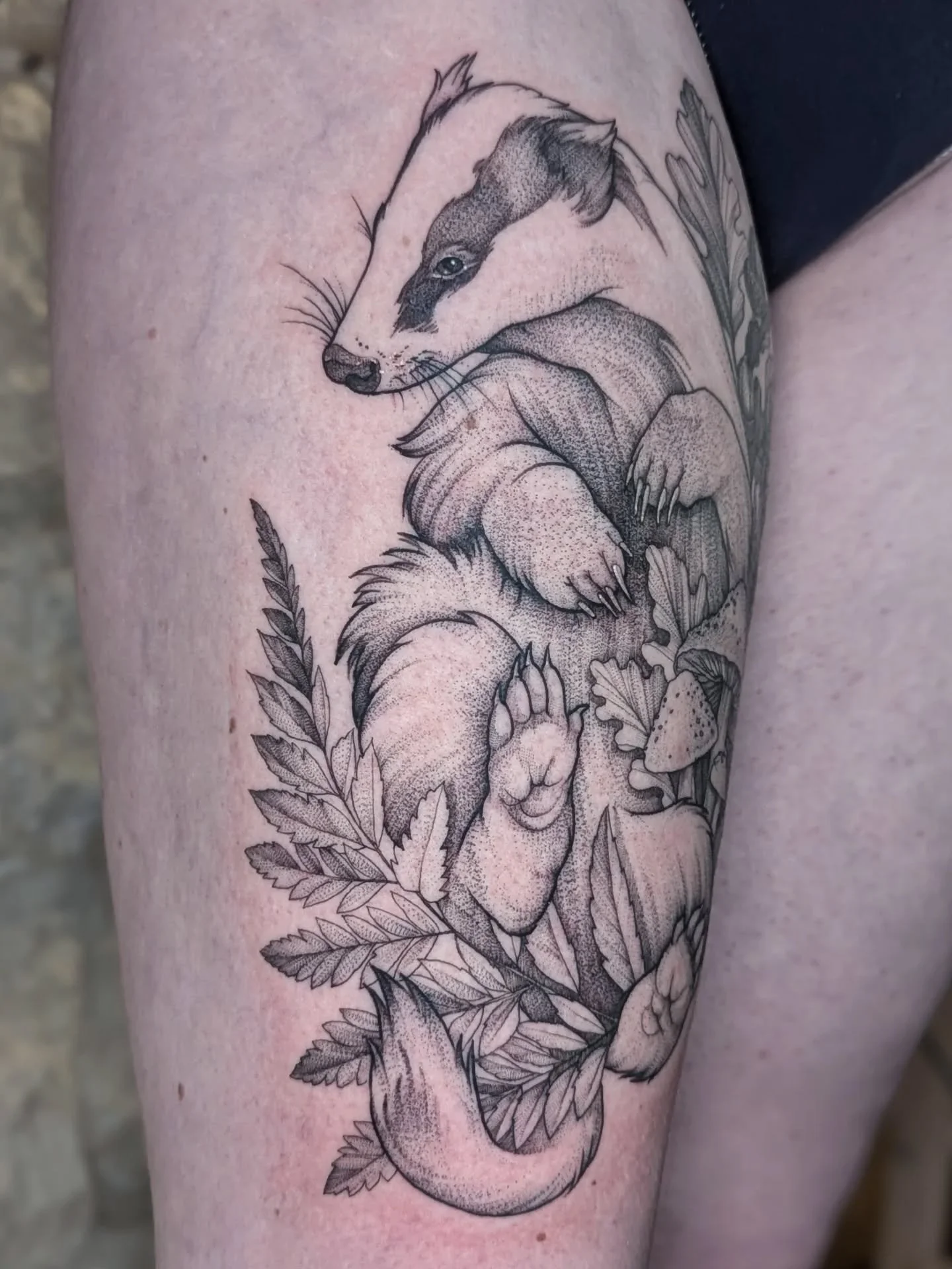 The Forest Guardian 🌿 Done during my guest in Paris

"I would love a badger surrounded by forest elements : ferns, acorns, mushrooms, and wild flowers." This was Anne's request for her thigh piece, and I loved every minute of bringing this