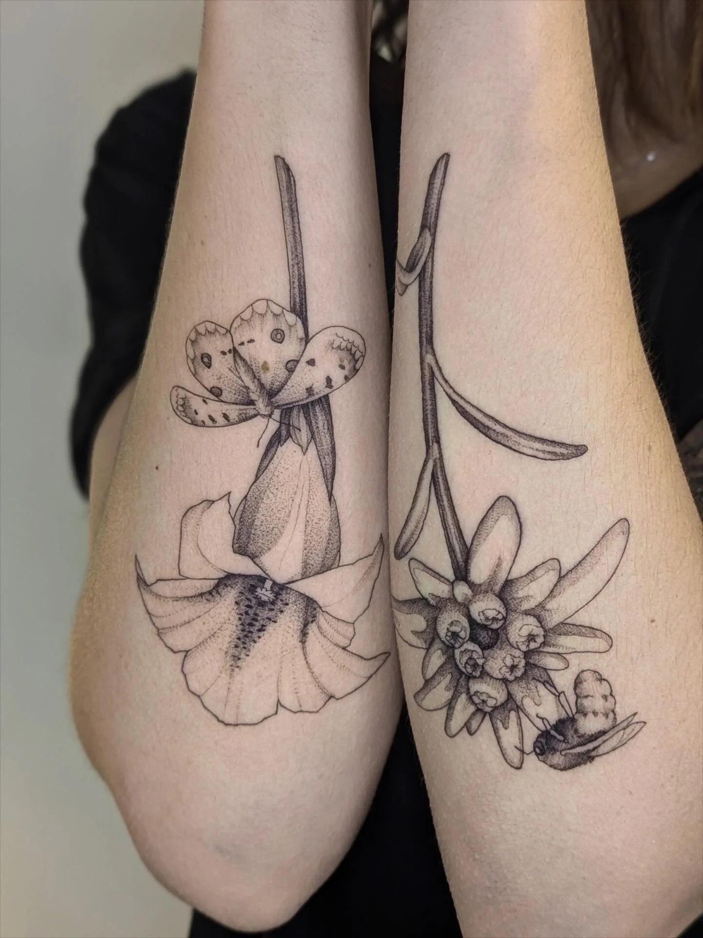 There is such a quiet, powerful beauty in mountain flora, and it was a joy to welcome Charlene back for this poetic project.
For this session, we worked on a false symmetry : matching placements on the back of each forearm to create a harmonious bala