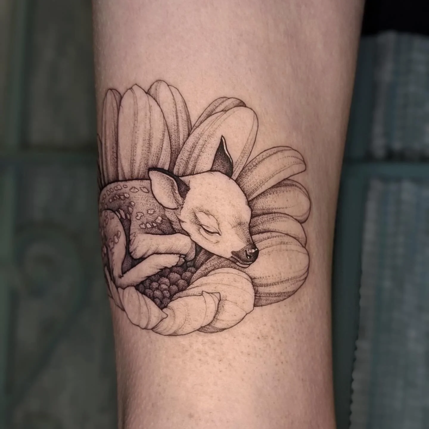 A tiny fawn curled up asleep inside a daisy✨ This piece for Sally is one from my series of Sleeping Animals.&nbsp;
For this custom flash, I used a mix of fine line and soft dotwork to capture the velvet of the fawn&rsquo;s spots and the organic curve