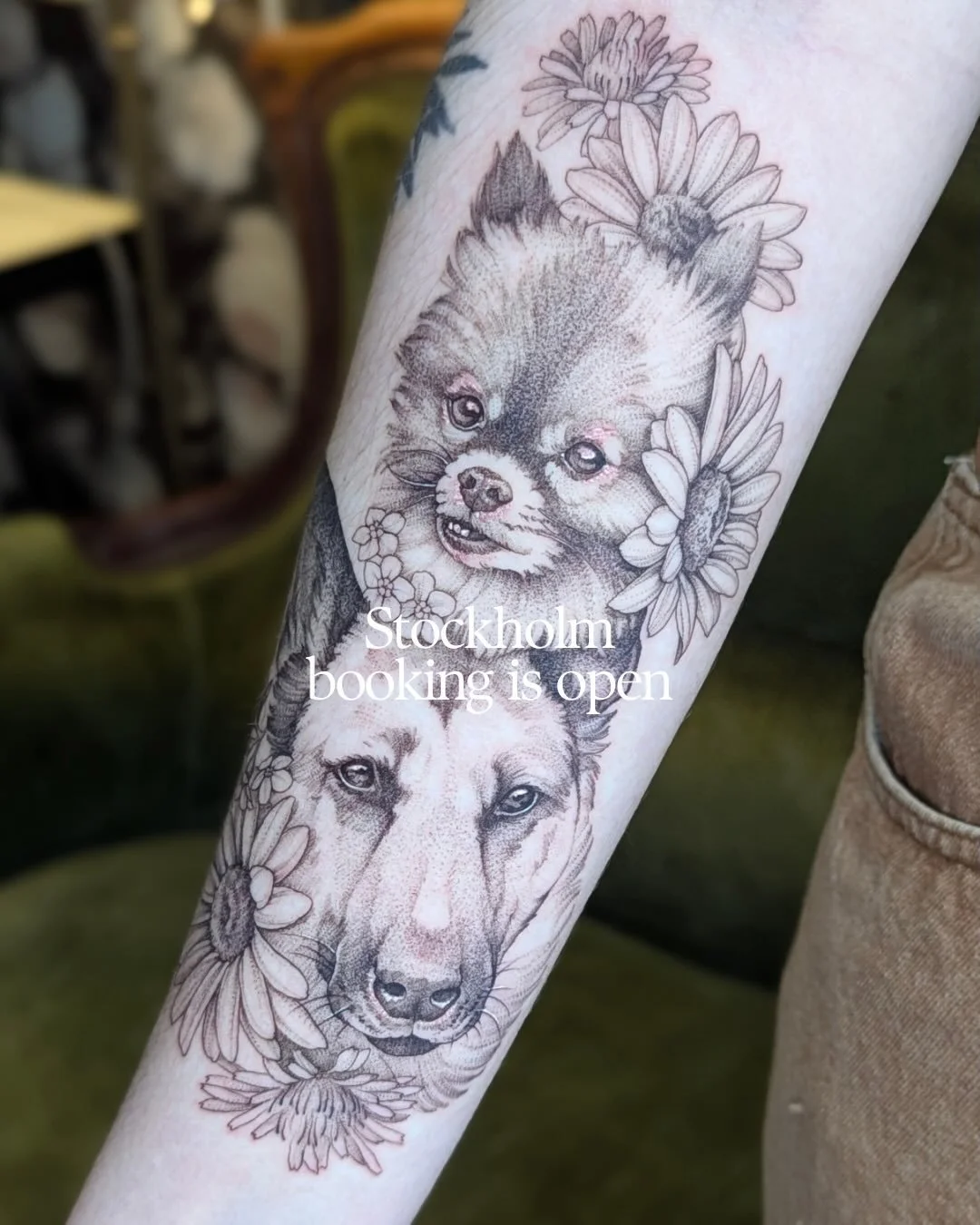 My Stockholm booking is open!
If you need any information, please feel free to contact me, otherwise, you can find the link to my form in my bio.

And, than you Alexandra for your amazing project, doing pets portraits is one of my favourite things ❤️