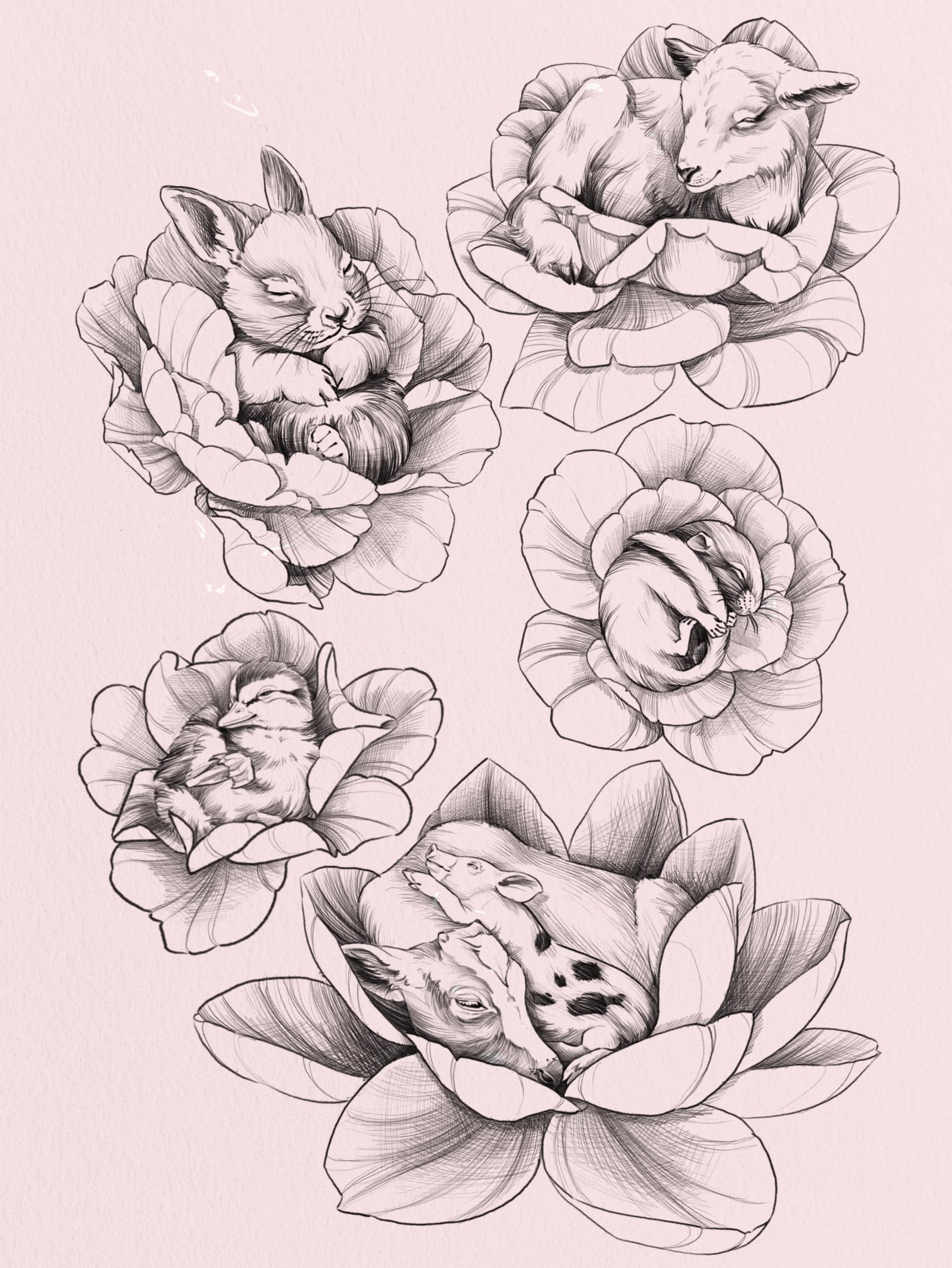 New flash drop!!
If you want a cute baby animal sleeping in flowers, I&rsquo;m available in Stockholm to tattoo one of them 🐰
If you want to adopt a baby goat, duck, rabbit, chipmunk or a cow and a piglet cuddling, please slide in my DM!

#flashtatt