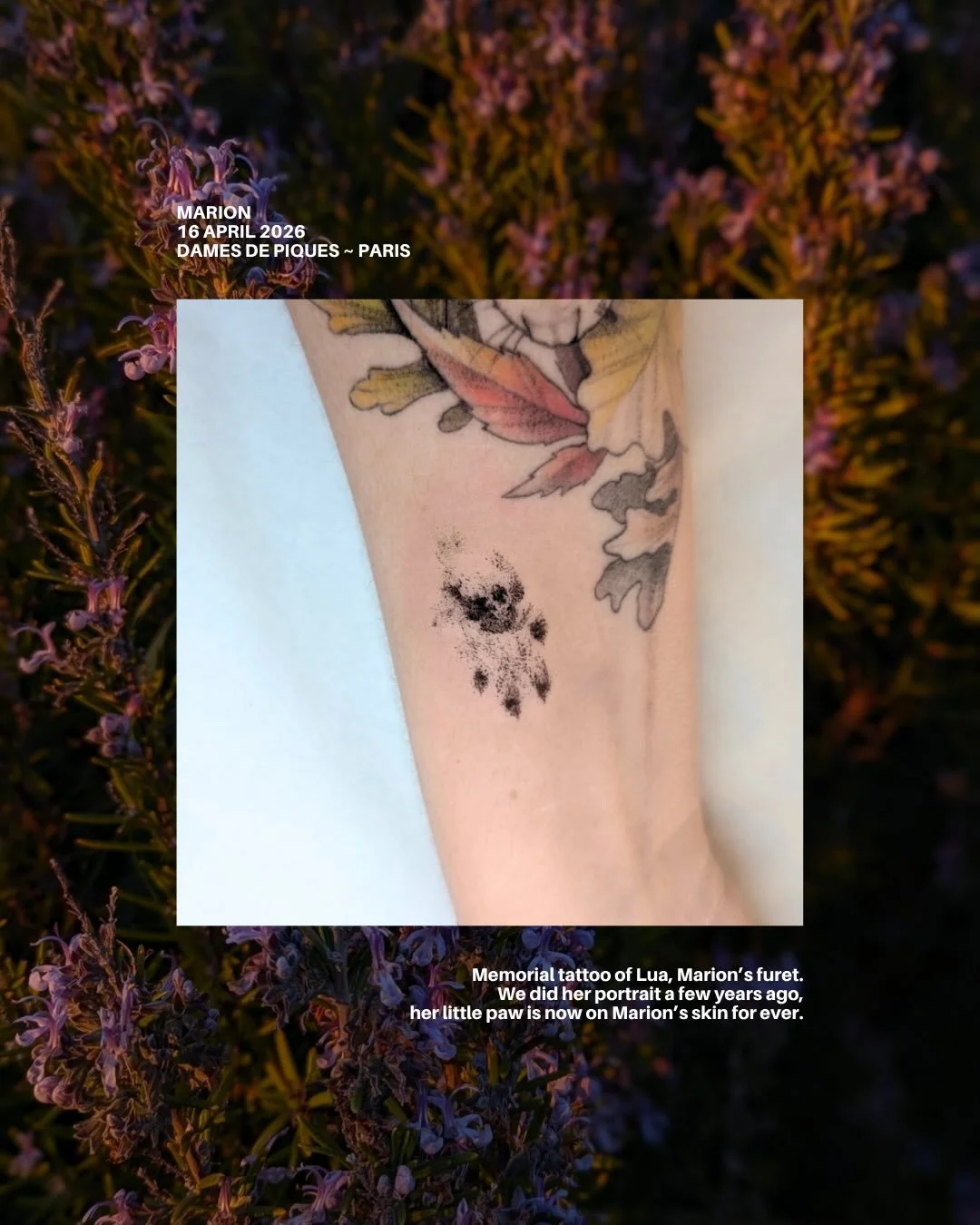 Marion memorial tattoo of Lua, her little paw print next to her portrait we did a few years ago. Thank you for this very emotional moment 🤍 Lua will always be in our hearts.

Tattooed in Paris at @damesdepique.tattooparis 

#vegantattoo #memorialtat