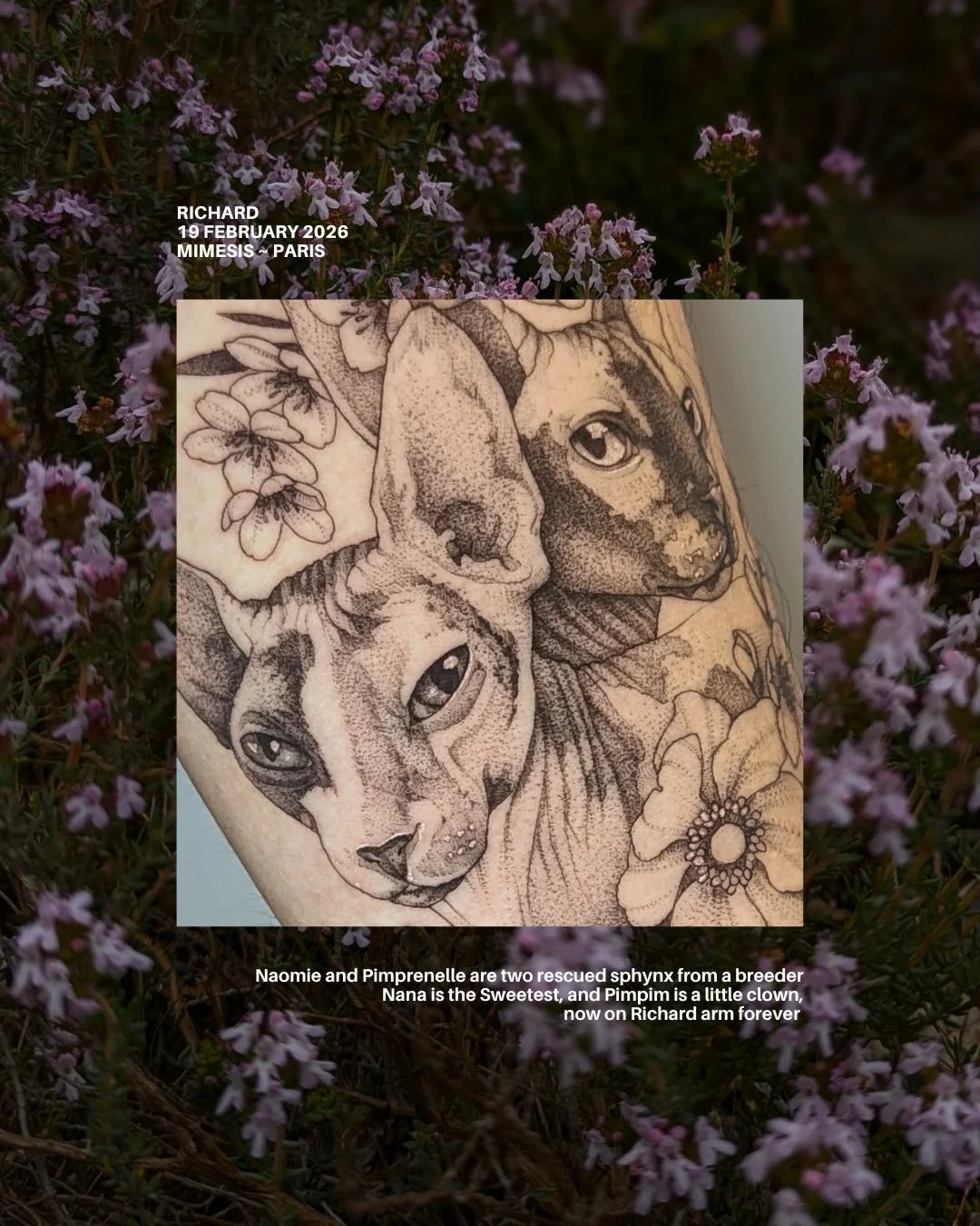 Thank you Richard for your sweet project 🖤 it was amazing to tattoo your girls portrait on your arm!

Done in Paris at @mimesis.paris 

#vegantattoo #cattattoos #portraittattoo #sphynxtattoo