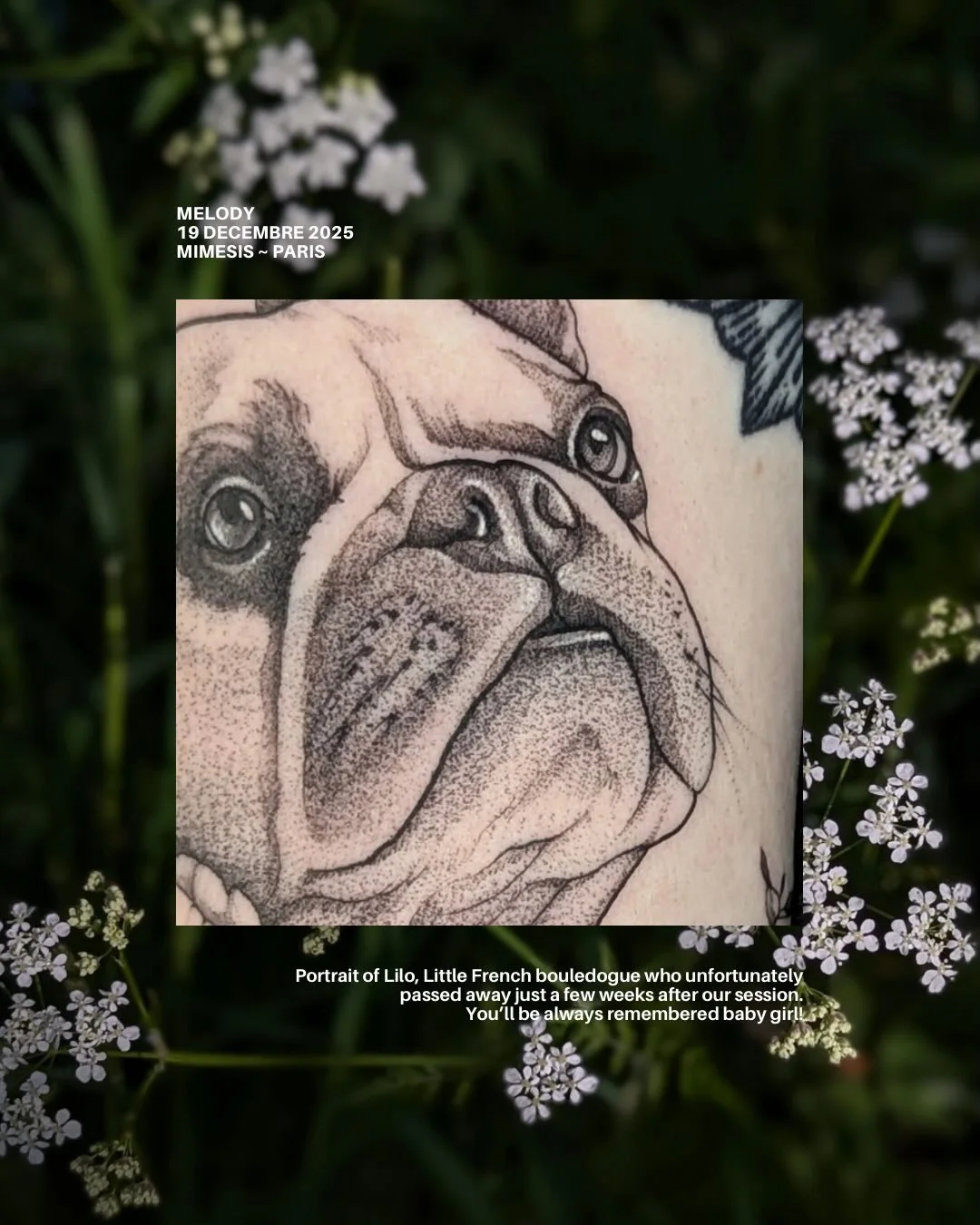 Thank you Melody 🤍 we grieved our fluffy babies together, so this tattoo will always be so special to me 🤍

Made in Paris at @mimesis.paris 

#petportraittattoo #vegantattoo #dogtattoo #dogportraittattoo