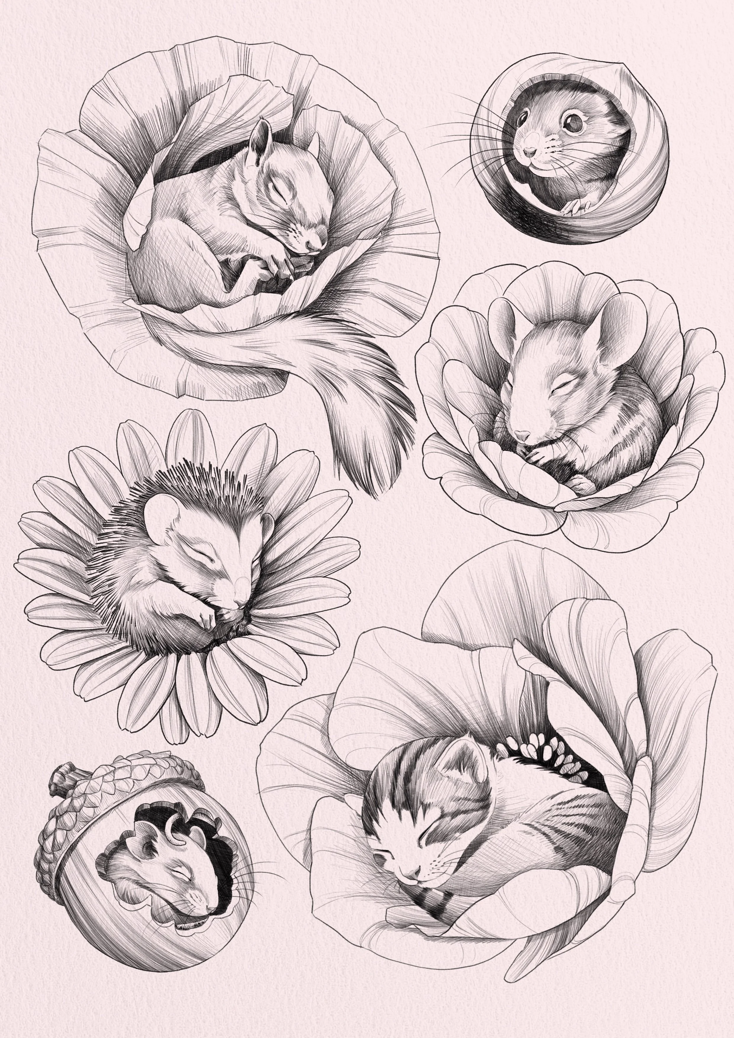Cute animal flash