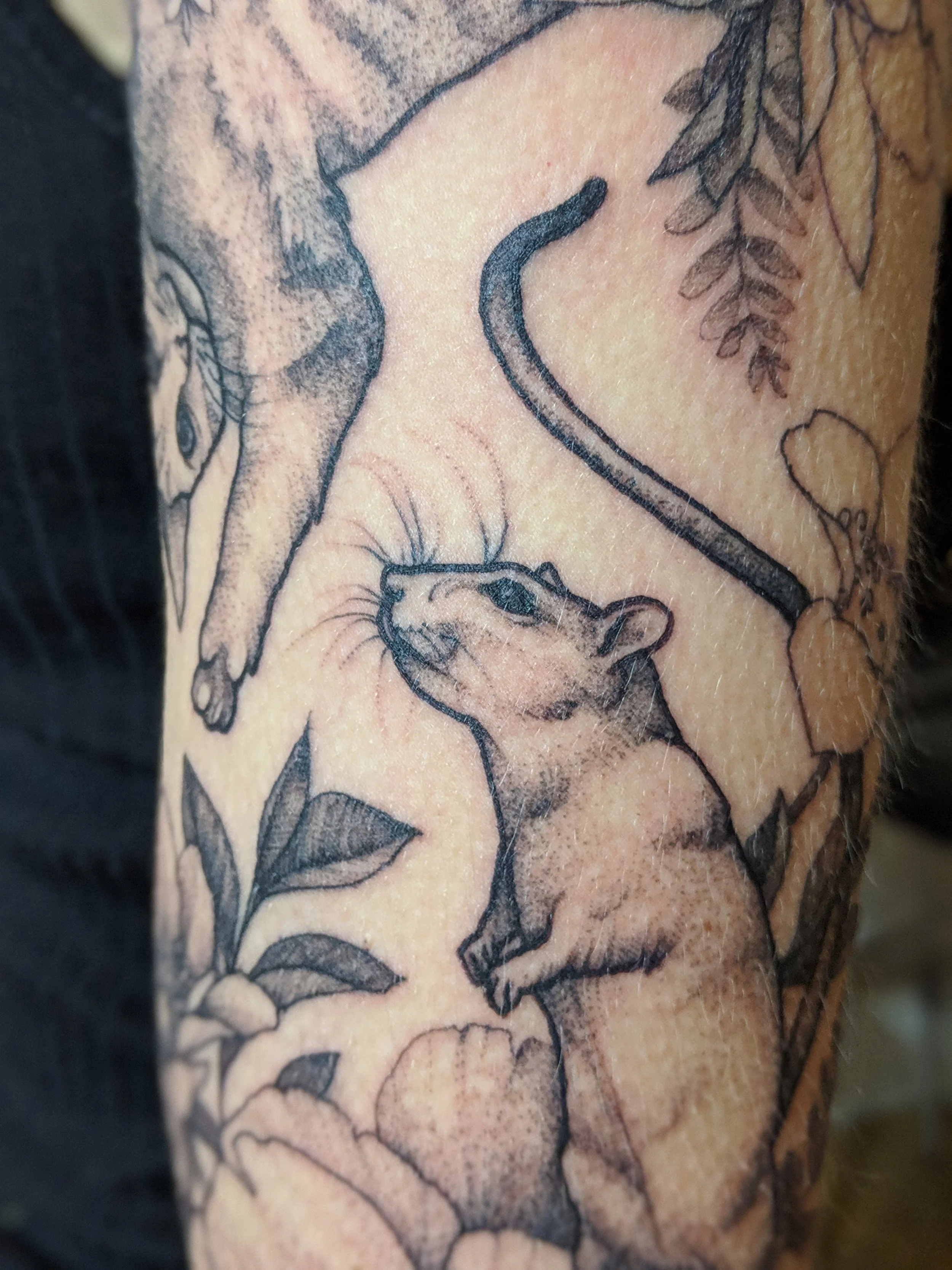 Tatouage d'un rat