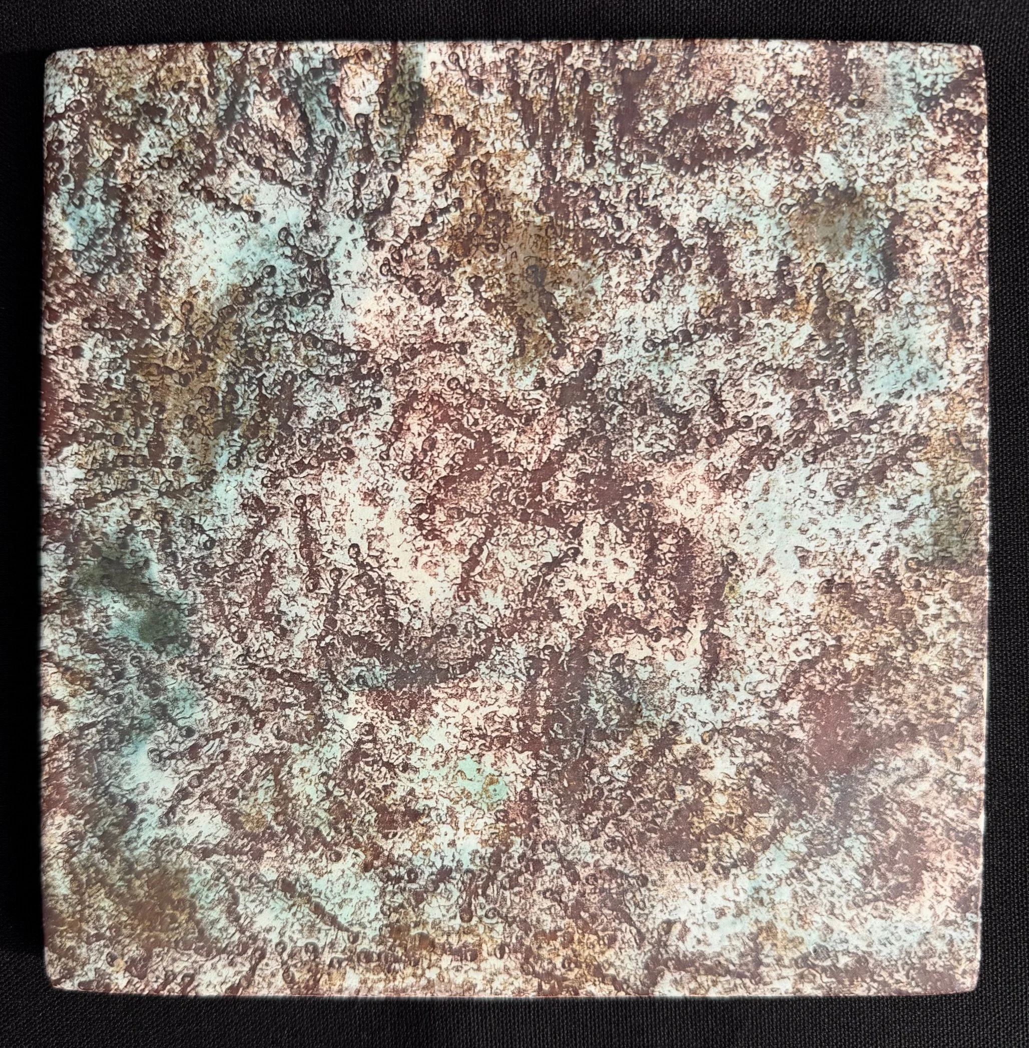 “Ant Lace”; Ceramic; 6.25”H x 6.25”W x .25”D; 2024