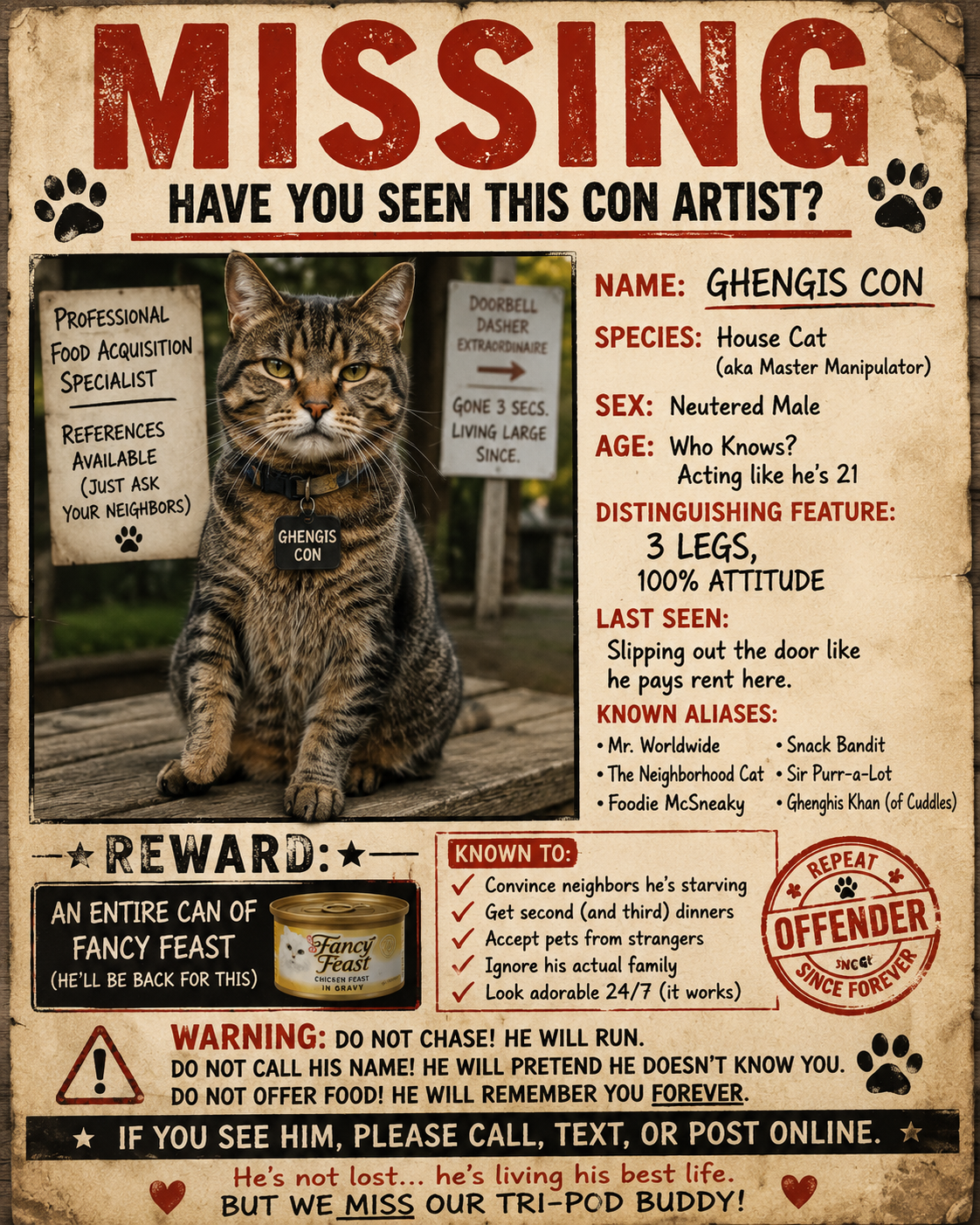 House Cats: The Biggest Con Artists on the Planet!