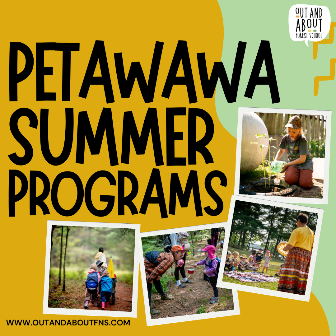 PET SUMMER2026 POSTER.png (Copy) (Copy) (Copy)