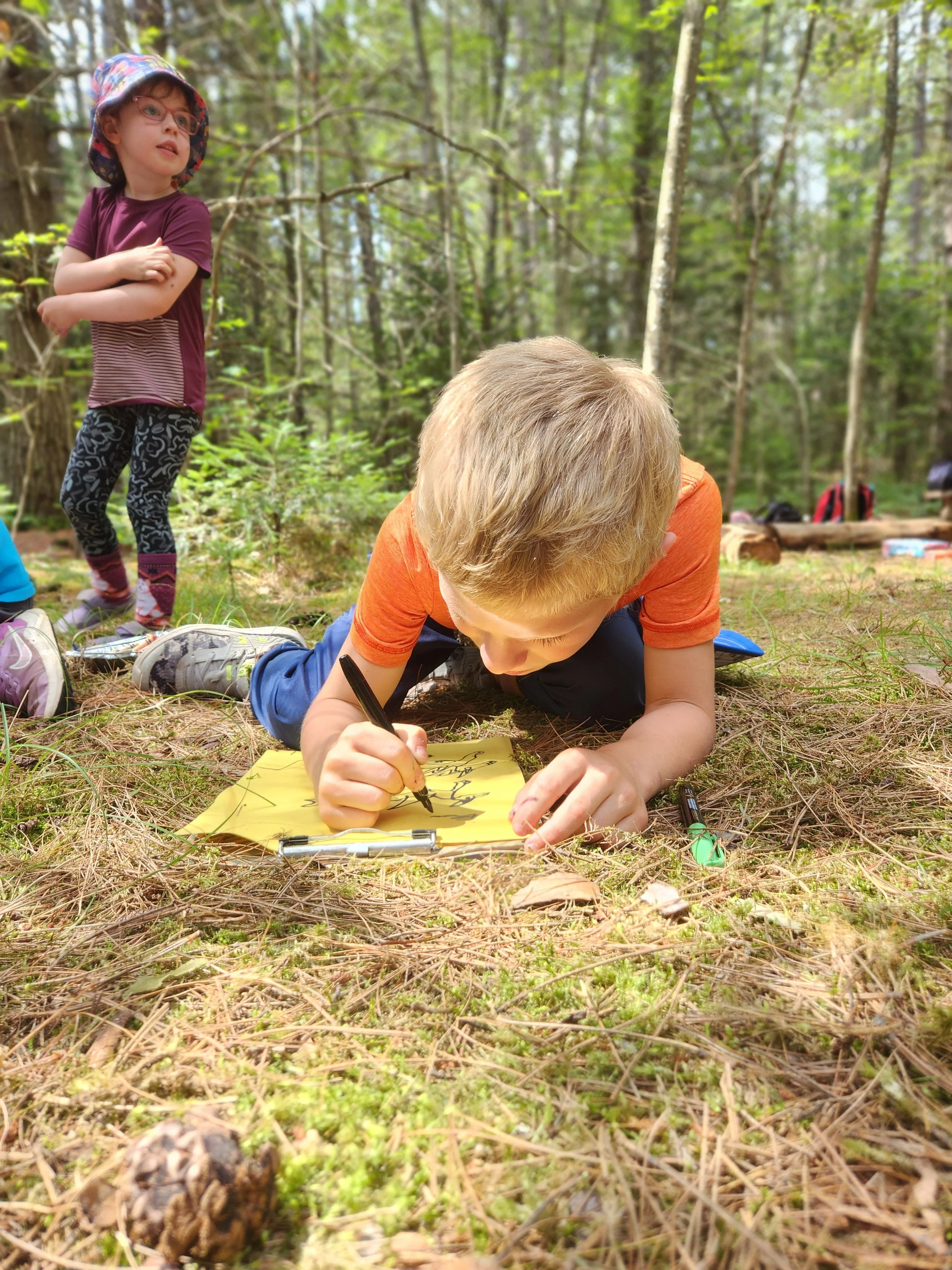 20240715_110951.jpg (Copy) (Copy)