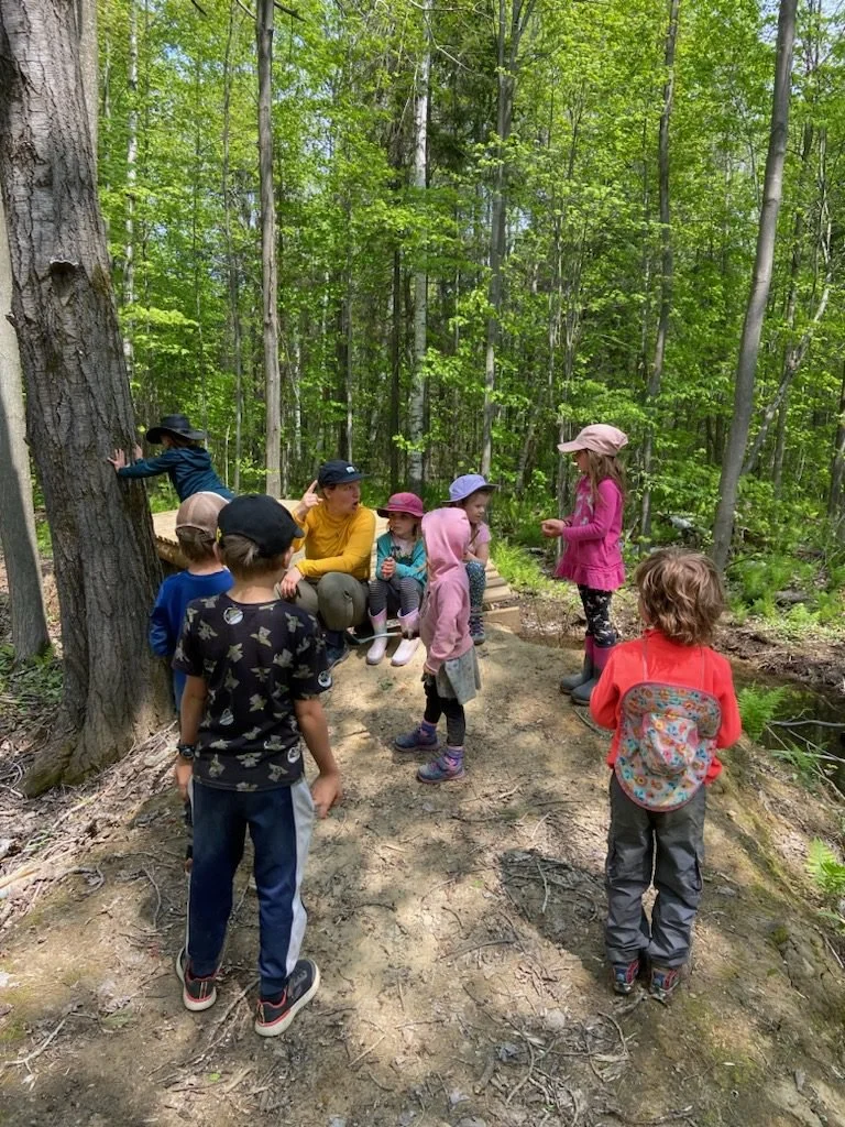 IMG_20230515_204901.jpg (Copy) (Copy) (Copy)