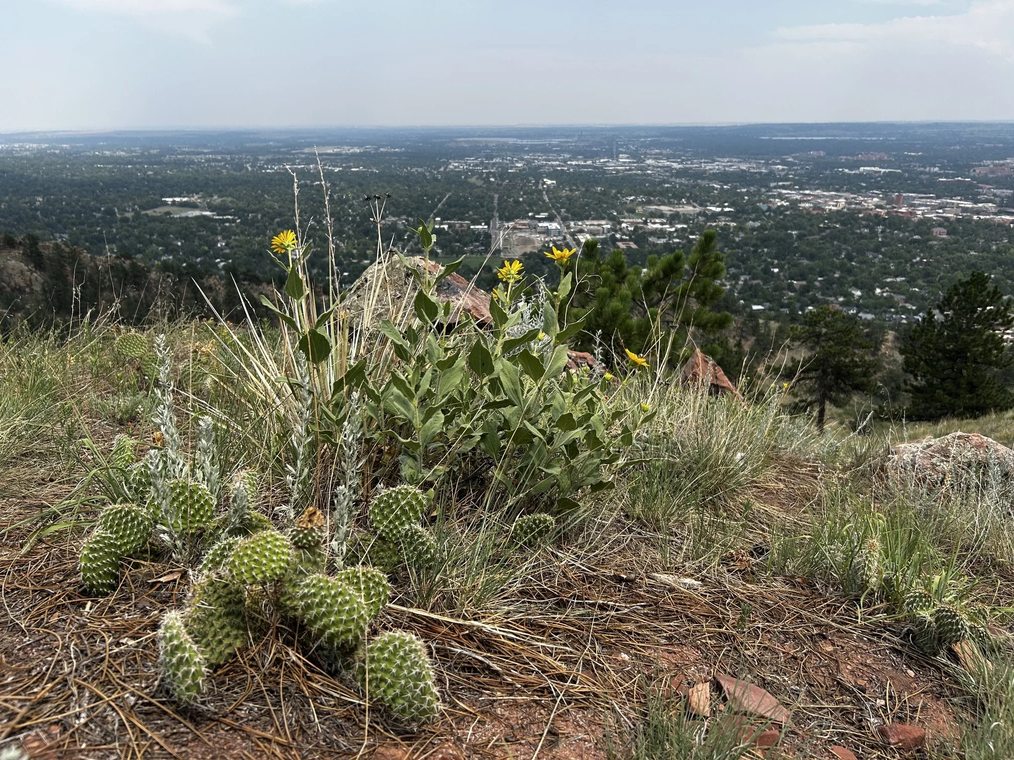 Prof. Klemun presents at ICSSI 2026 in Boulder, Colorado