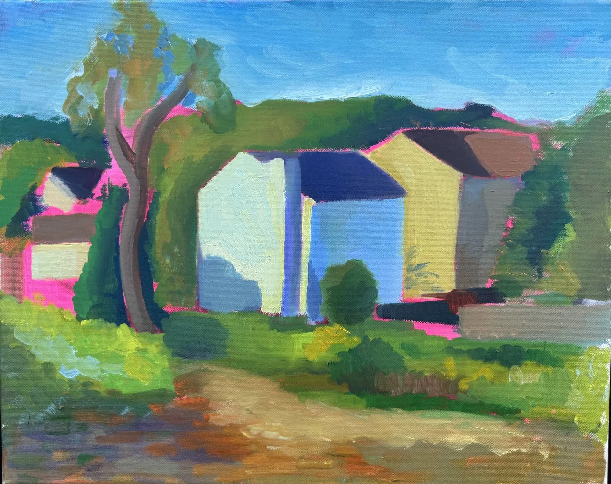 Cuba Marsh, suburban summer 2