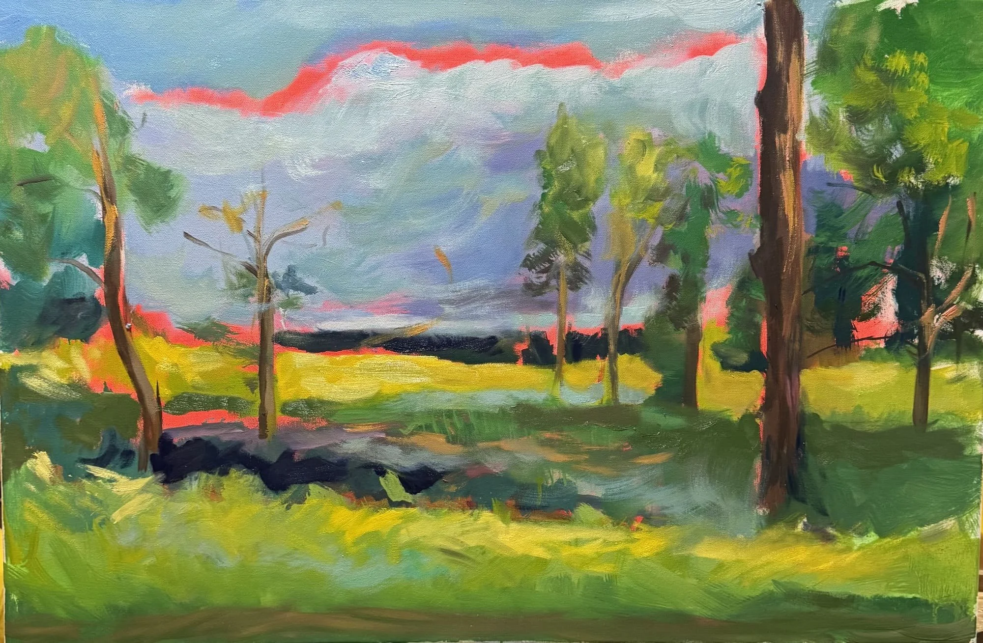 Cuba Marsh Forest Preserve