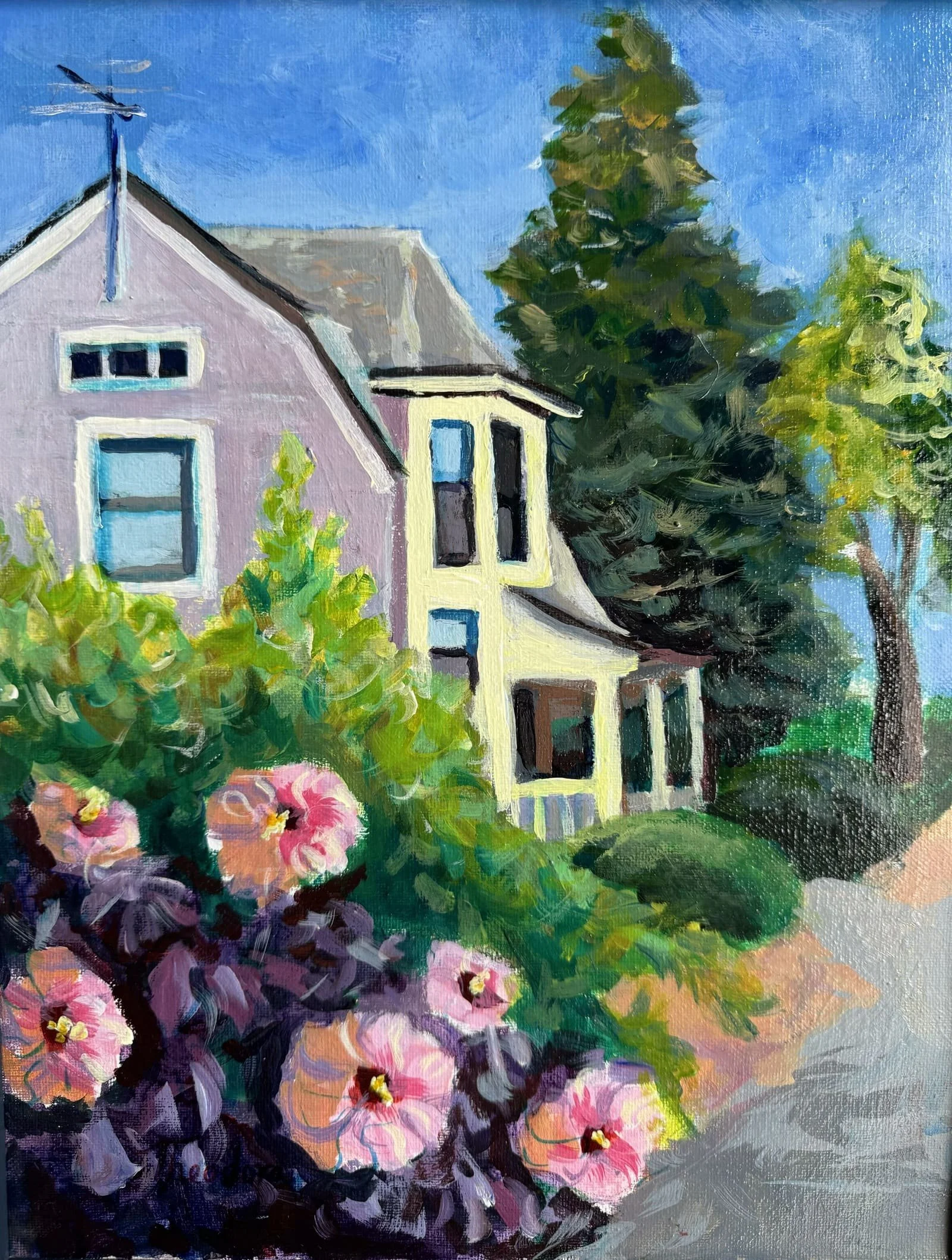 110 Hibiscus 2024