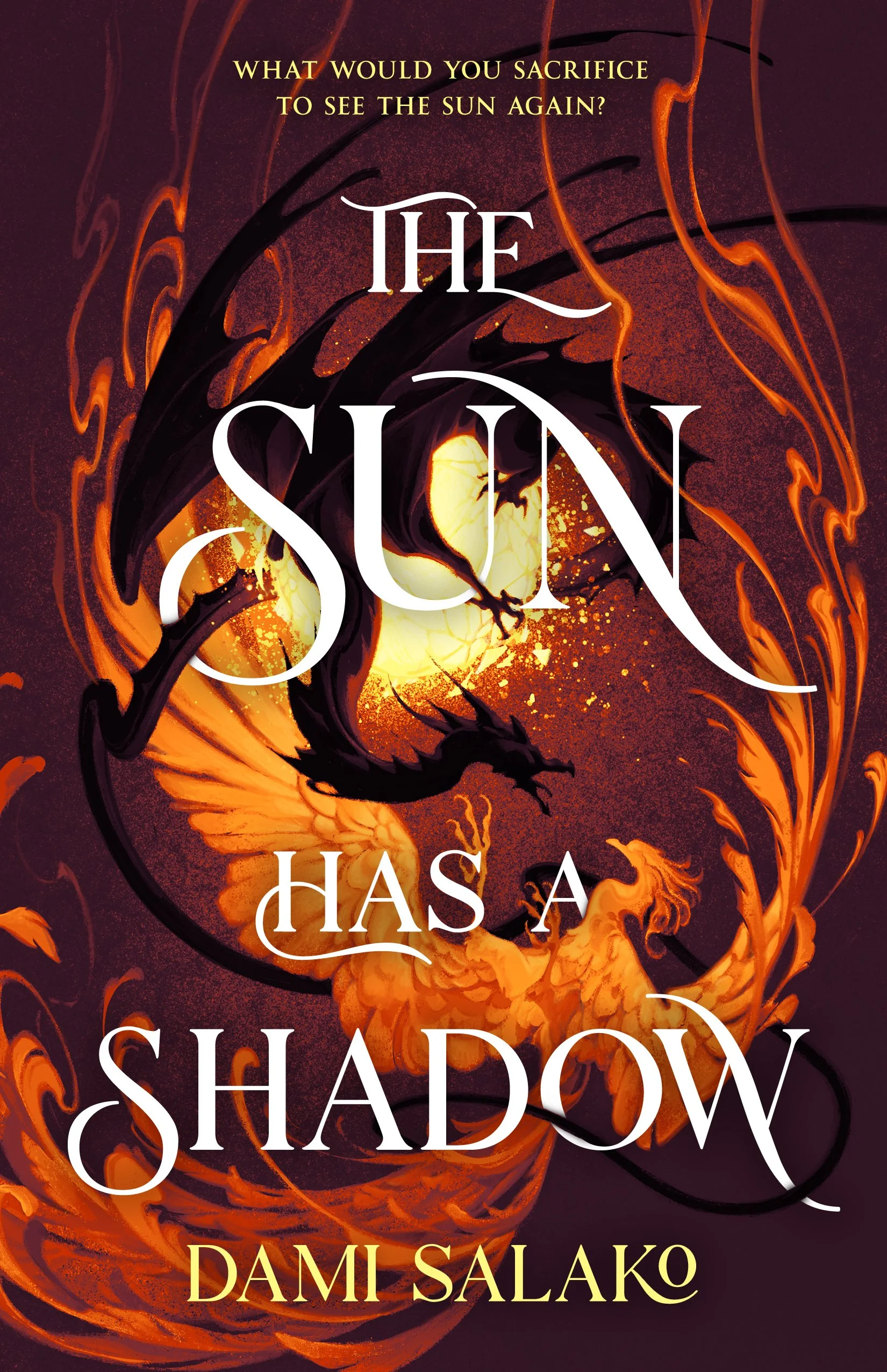 image of cover of the ya afro-fantasy the sun has a shadow