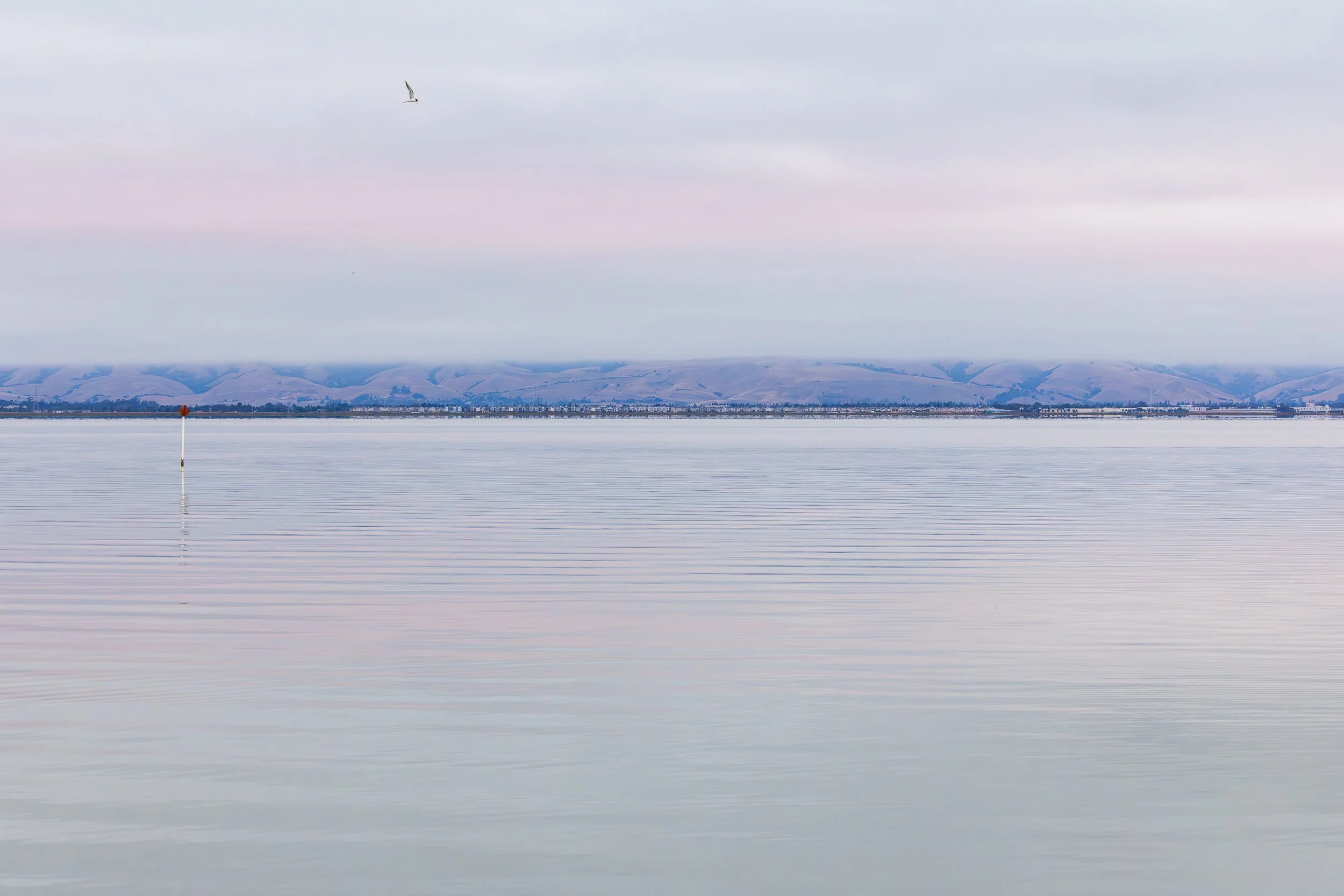 My Floating World, Palo Alto, California