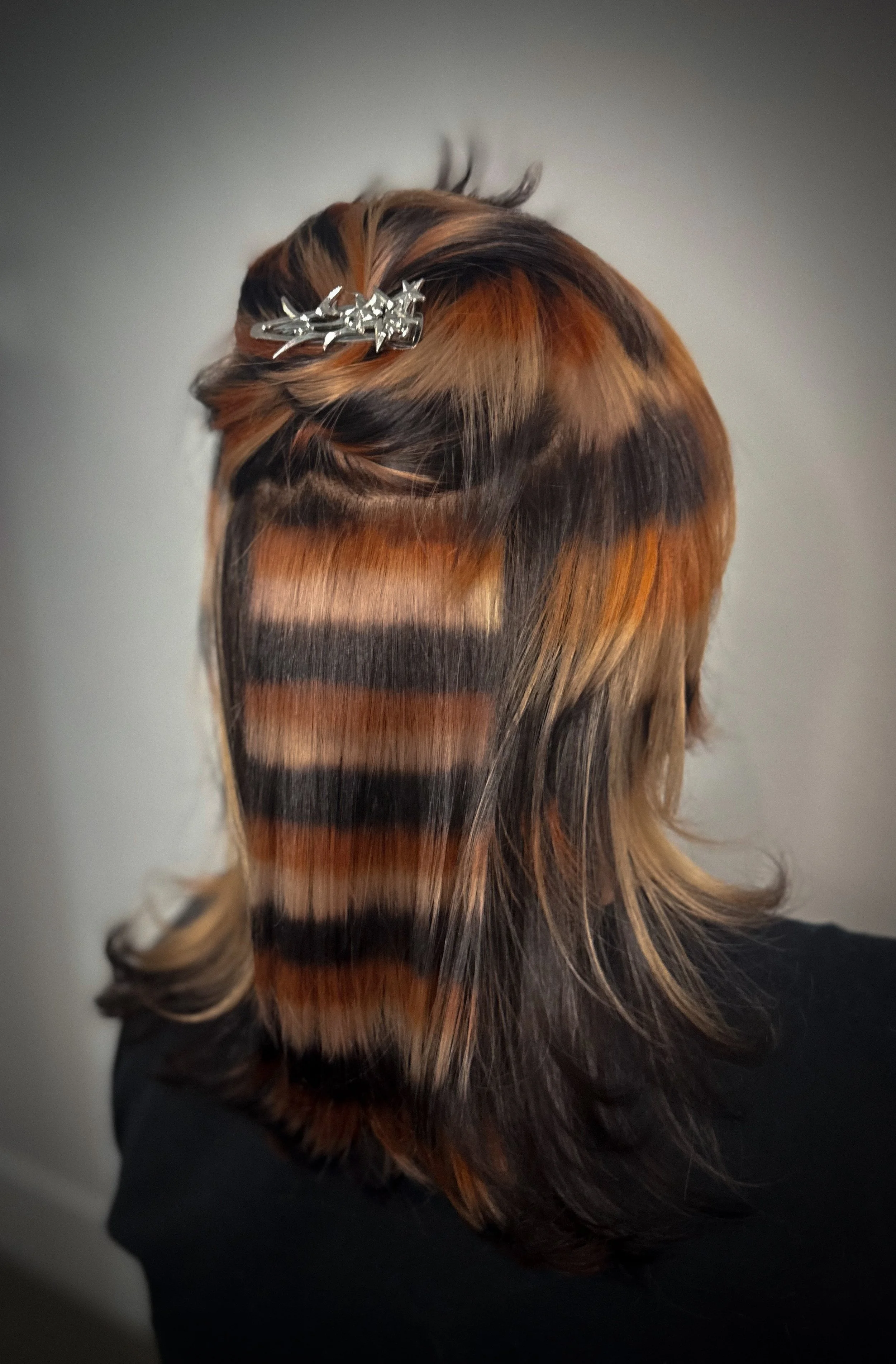 Calico raccoon stripe hair denver 