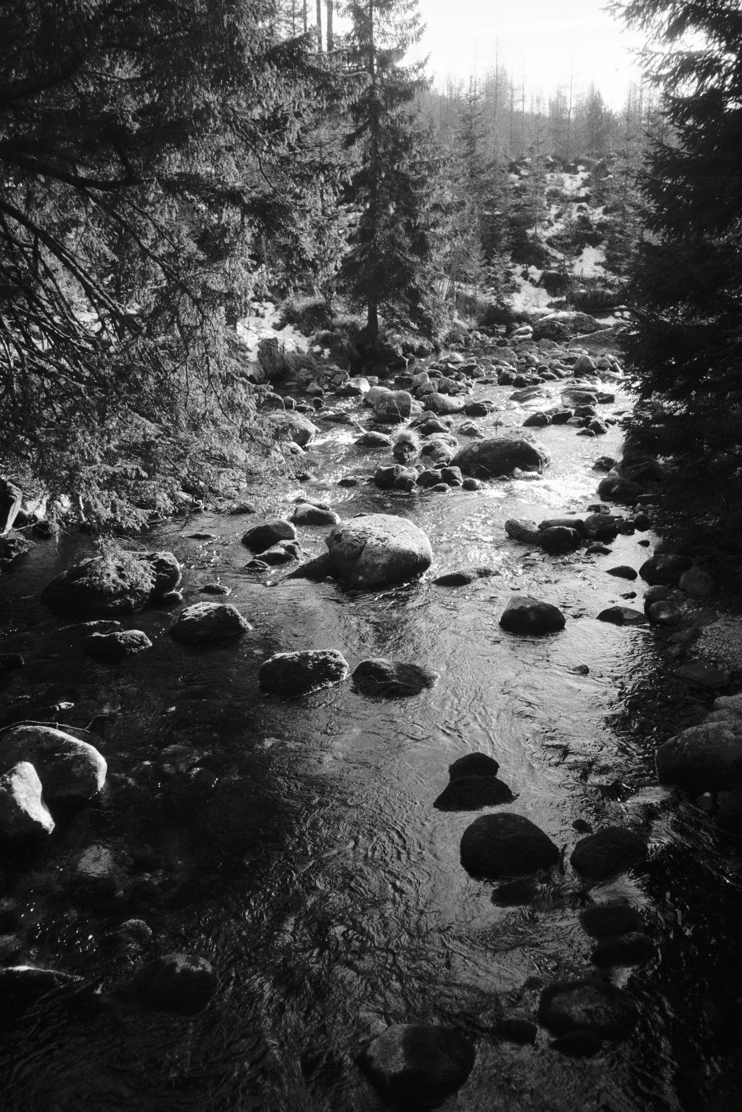 Untitled31 copy 2.jpg