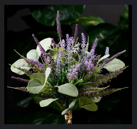 Lavender & Eucalyptus