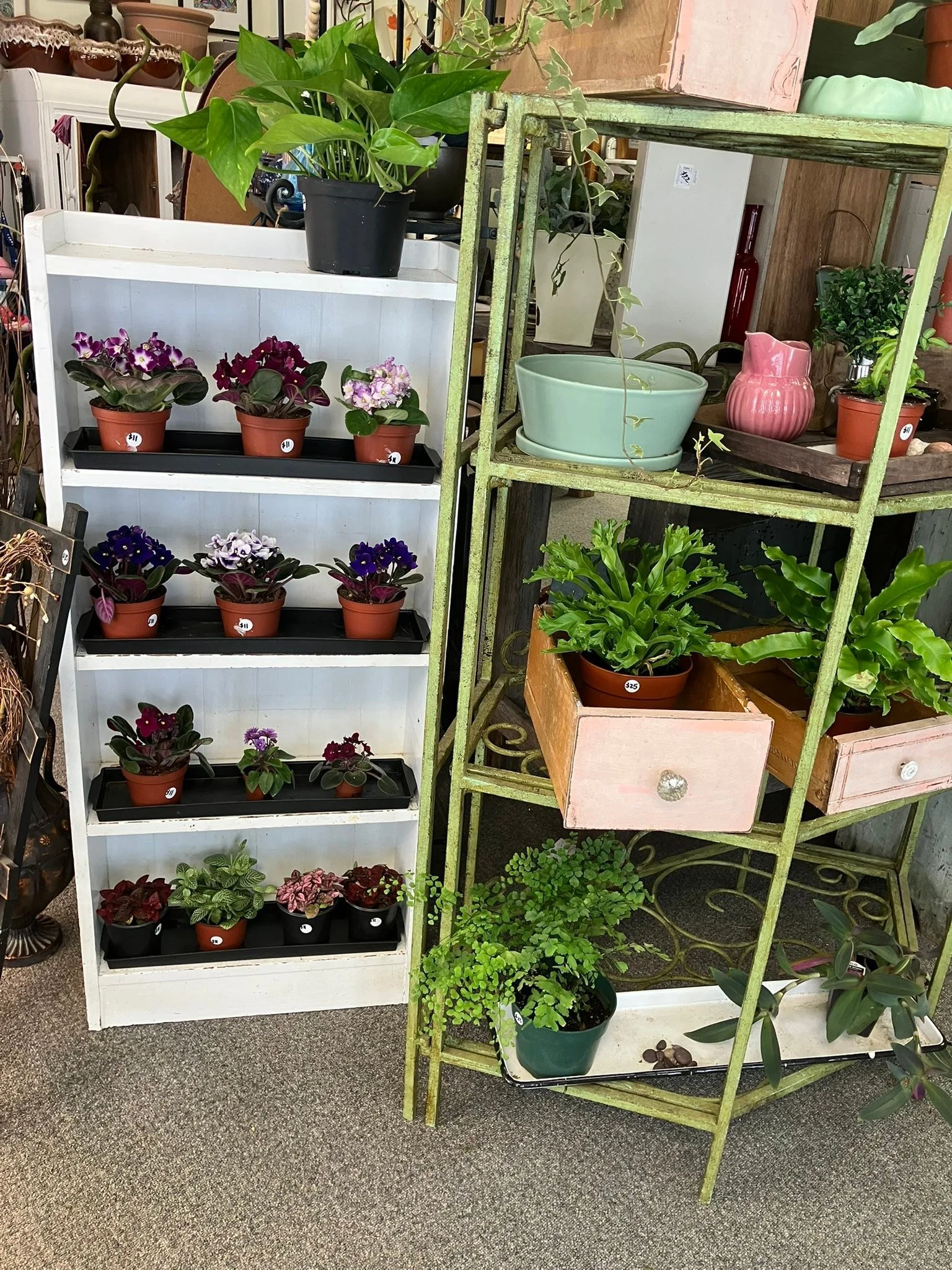 Shelves are full again! 😅