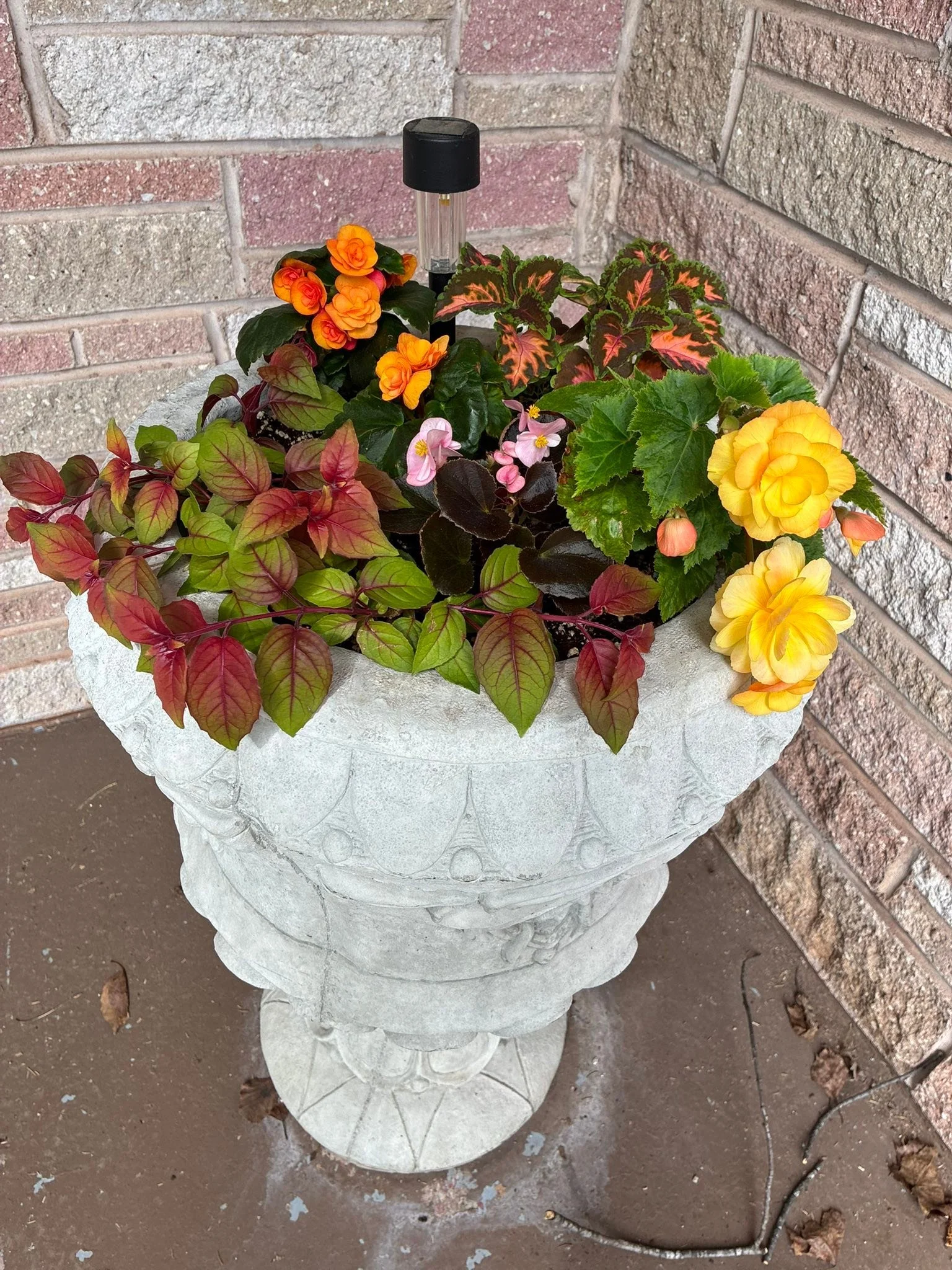 Good morning everyone! It&rsquo;s a perfect week ahead for planting! I have quite a large selection of perennials remaining (beautiful annuals too) stop on down to Flourish Flowers !
