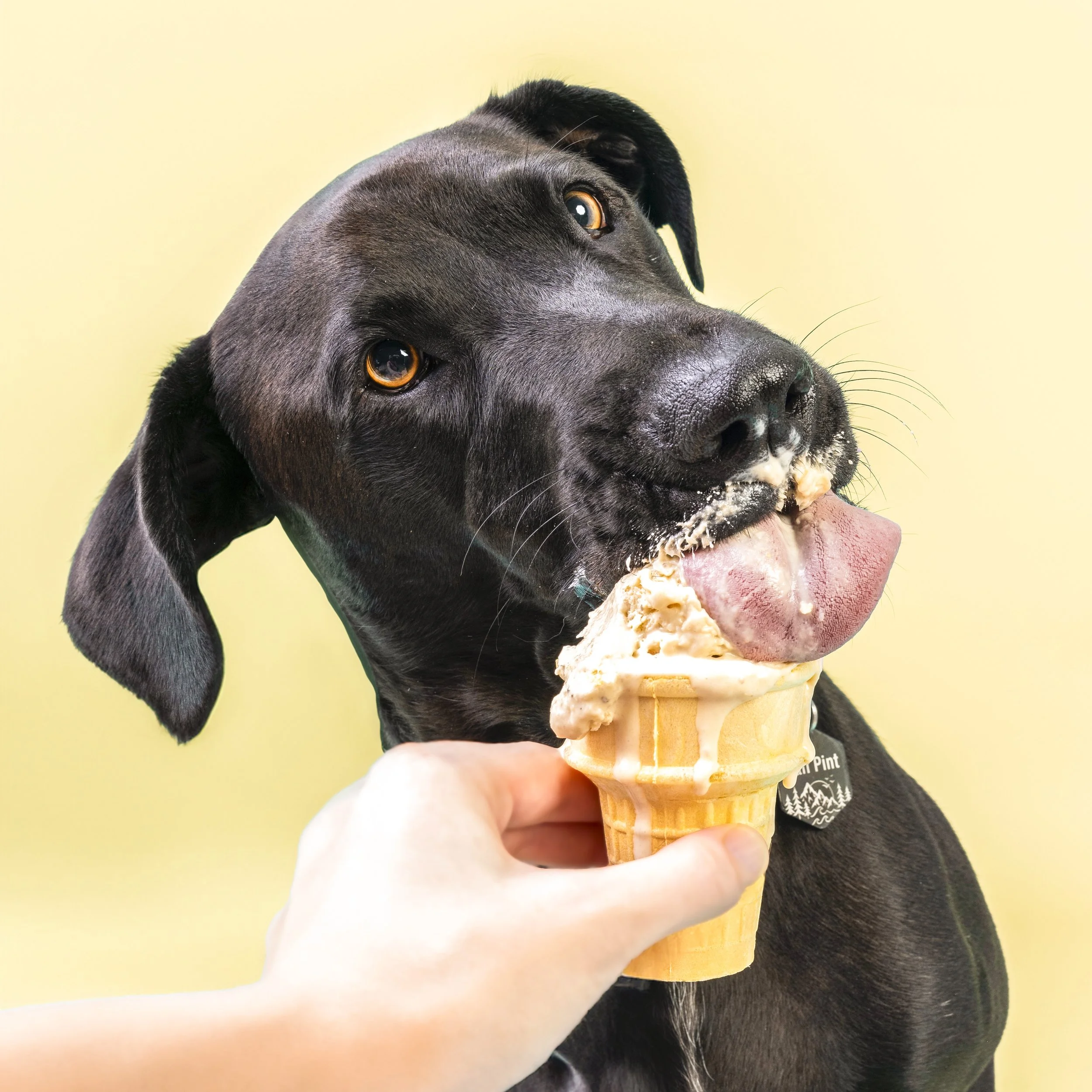 Ice Cream Photos