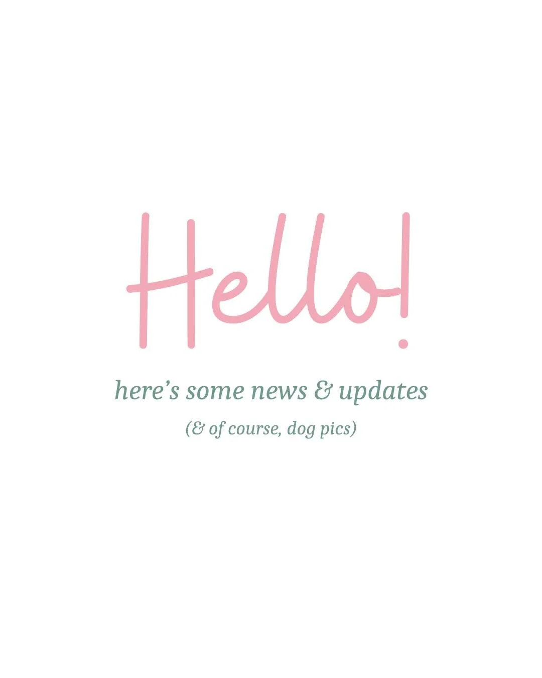 🐶📸 I have important information and dog photos to share! 

🐾 &quot;Pet Photos by Hannah&quot; is officially registered as a 501c3 non-profit organization! So what does that mean? Basically what this means for my clients is that you can now deduct 