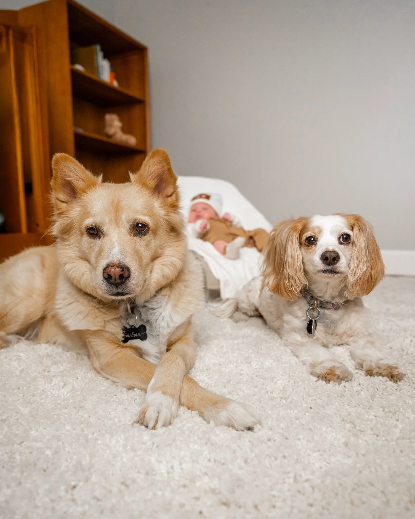 &ldquo;Hi there! It&rsquo;s Violet and Melanie here posting on behalf of our mom who has been very busy for the past few months with a brand new little skin baby! 👶 Mom and dad say we&rsquo;ve done a very good job at welcoming this little guy to our