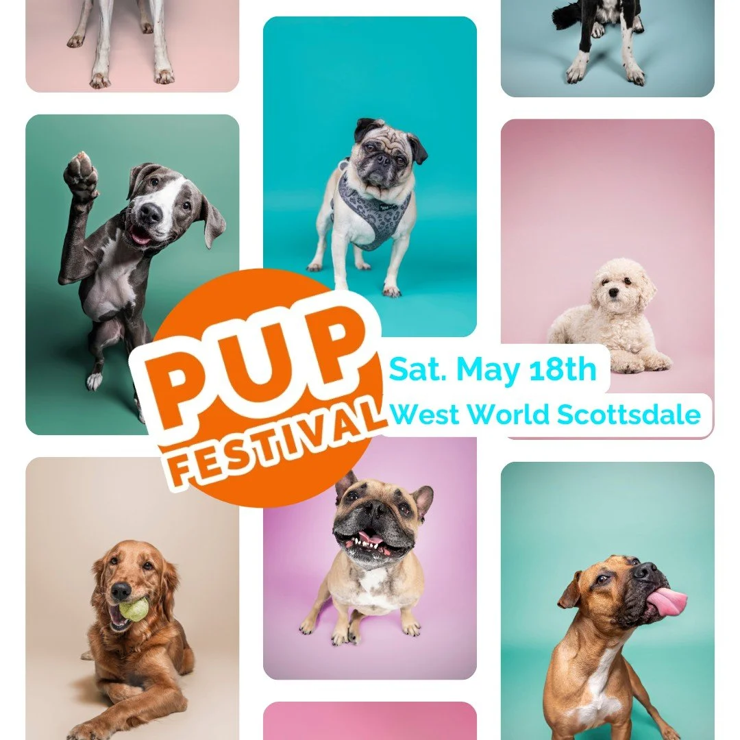 Are you coming to Pup Festival this Saturday, May 18th? It's INDOORS and DOG FRIENDLY! 🐶🐾 I don't know about you, but I'm always looking for fun indoor activities to do with my dog during these brutal Phoenix summers. 

I will be there the whole da