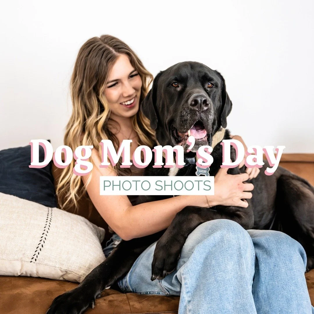 It's almost Dog Mom's Day and it's not too late to snag the *last* slot for a private 30-minute photo shoot of you and your pup! 🐶🌷

Book now via the link in my bio or go to petphotosbyhannah.com/dogmomsday