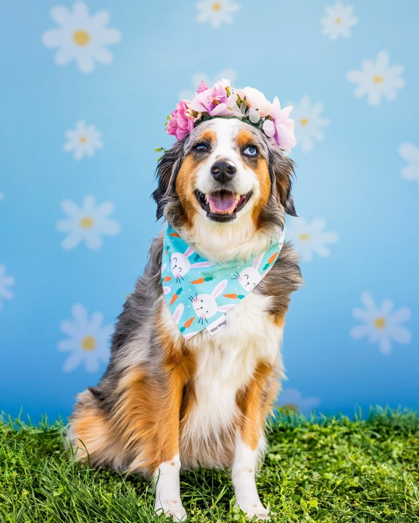 Some of my favorites from last weekend's Spring Fling event with @thebarkingbodega! 🌼

If you missed this photoshoot but still want some spring-vibes pup pics, don't fret! I'll be at the night market at @littlecholla on Thursday, March 28th from 6-9