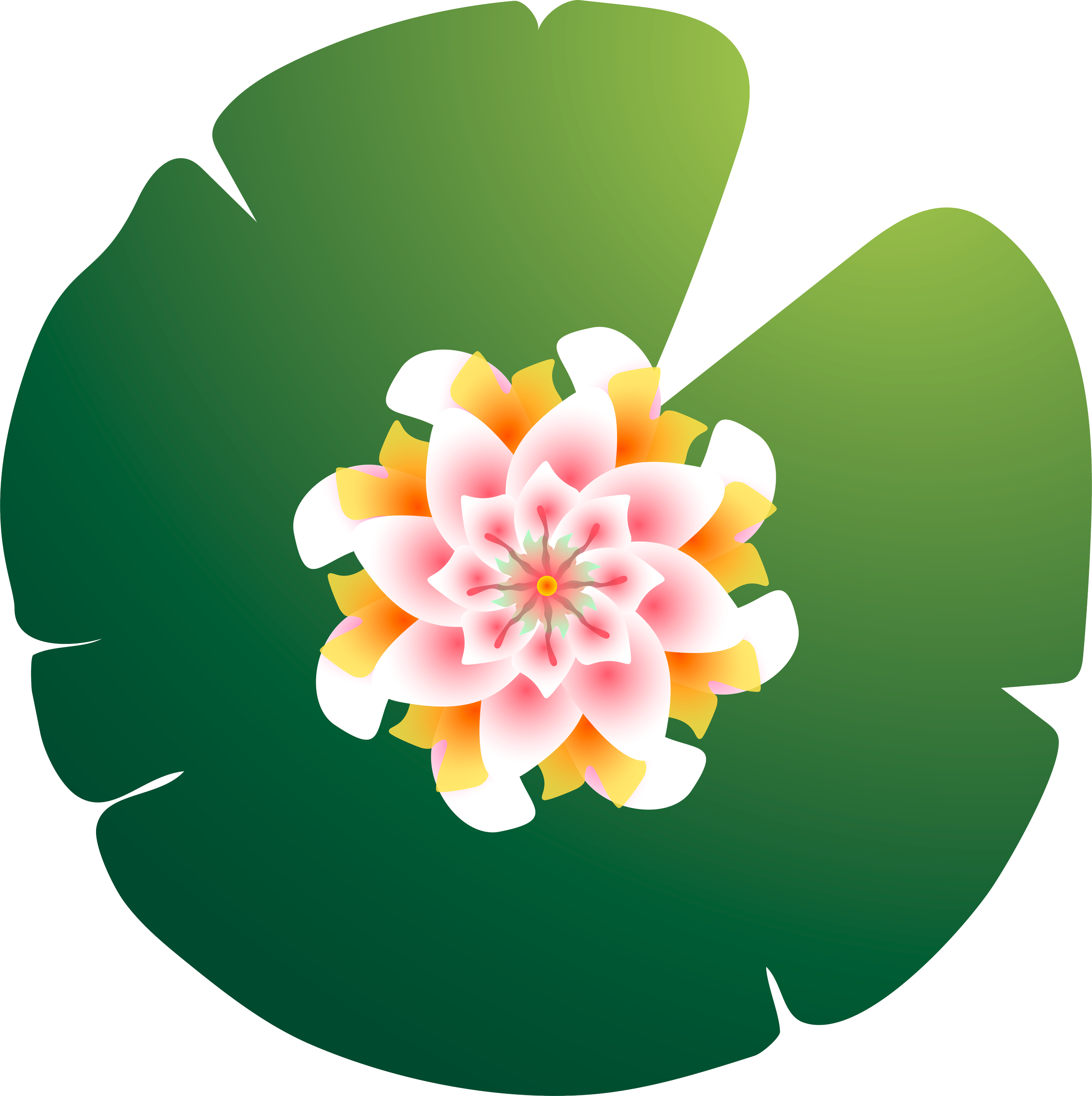 Lily pad copy.png