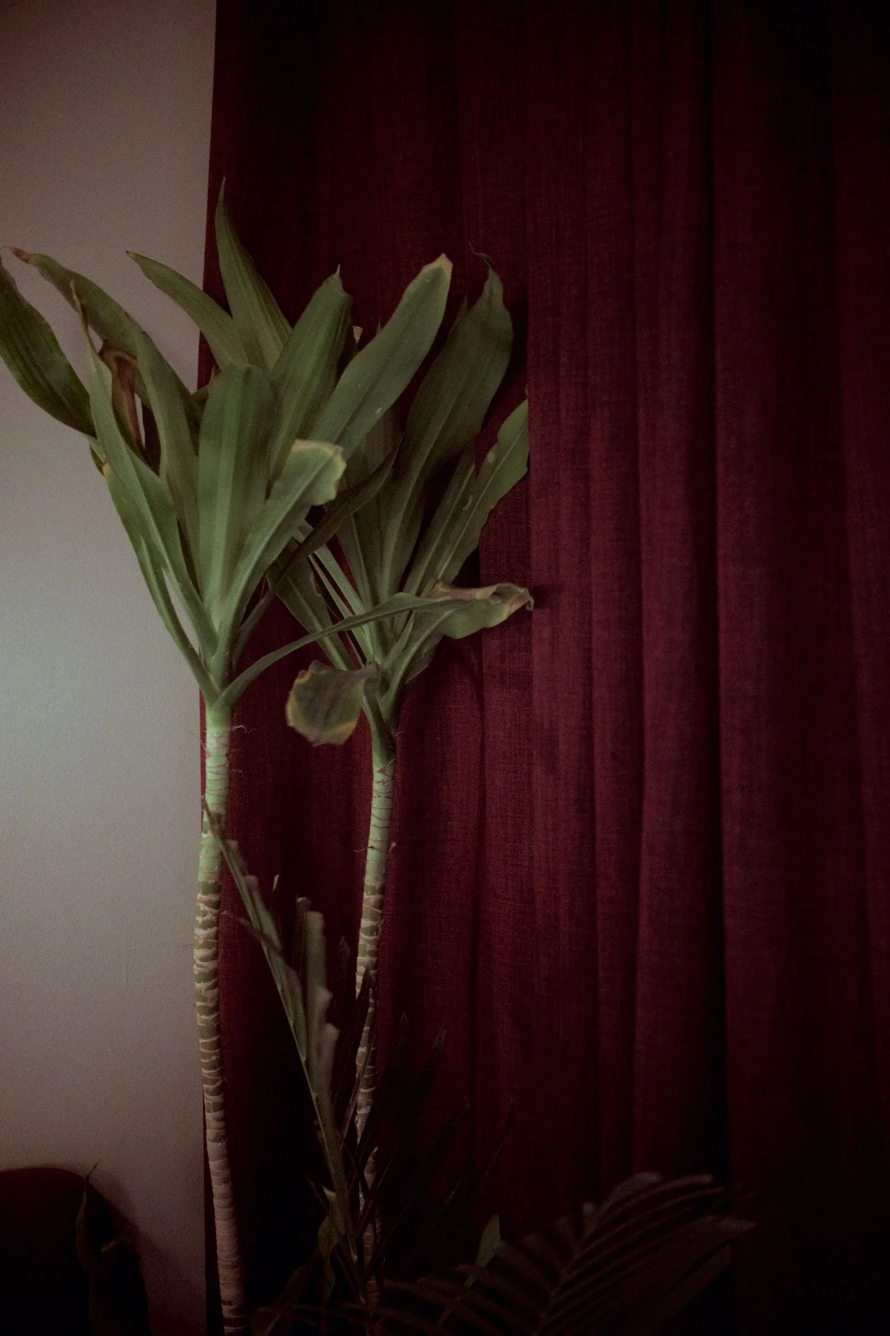 Interior Design Planning Dubai