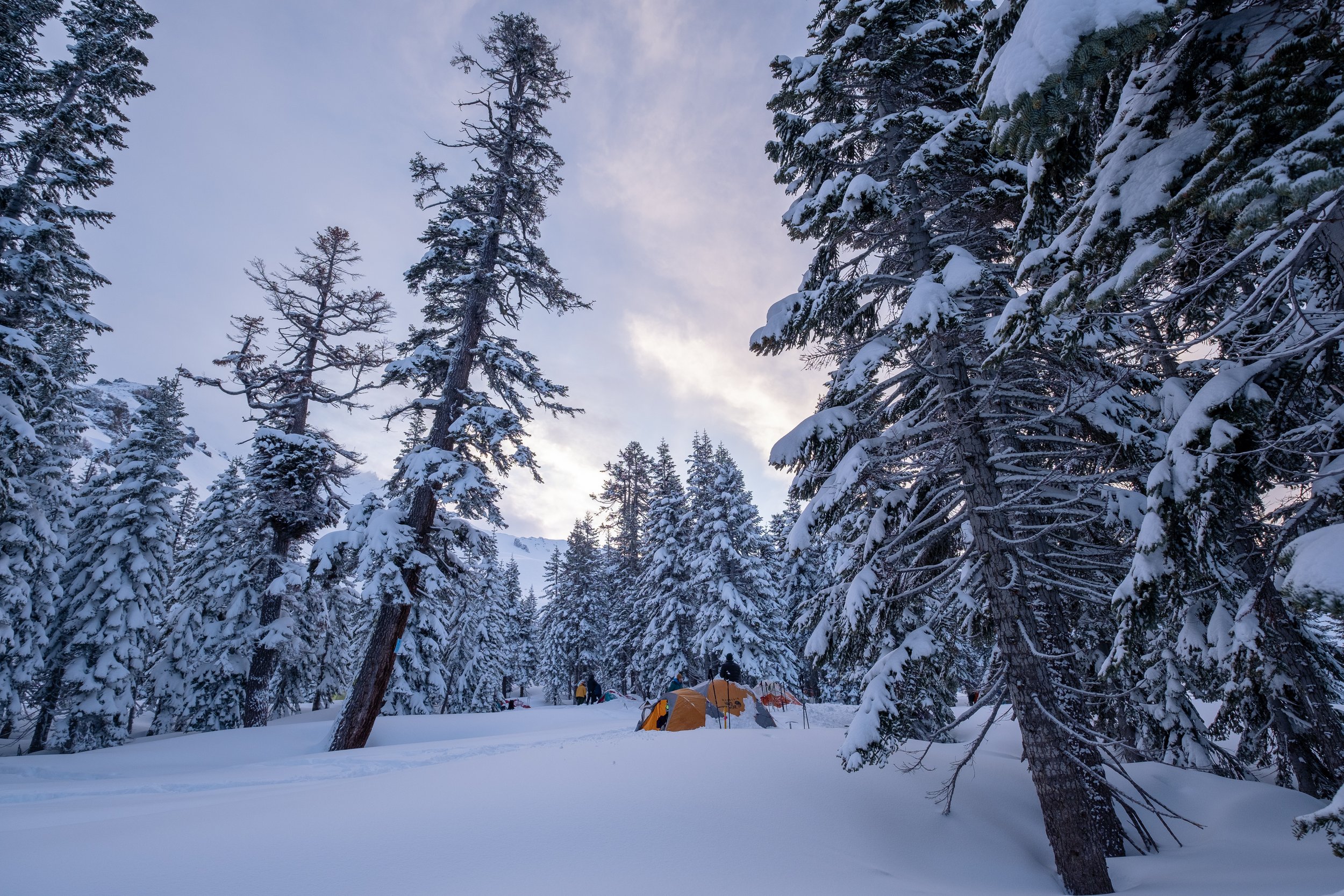 Skiers tent in the backcountry and fresh snow on top