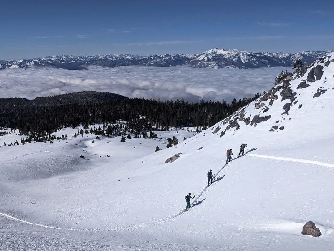 backcountry skiers skin to a mellow ski run on mt shasta