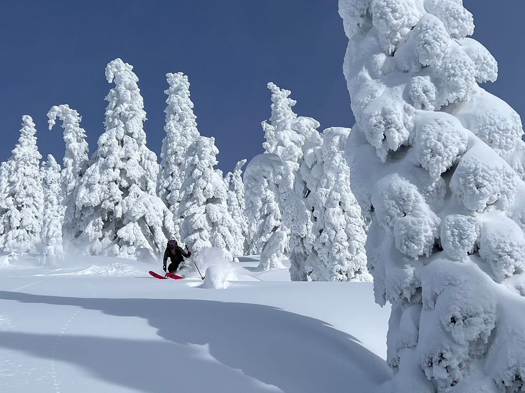 Backcountry skier in deep snow on a tree run on mt shasta