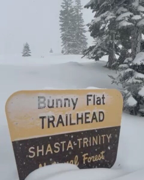 The snowpack in Northern California, specifically Mt. Shasta and Lassen Park has been undergoing tremendous positive change. We&rsquo;ve received nearly 3 feet of snow in the last 48 hours and the Avalanche hazard has been High with a touchy and sens
