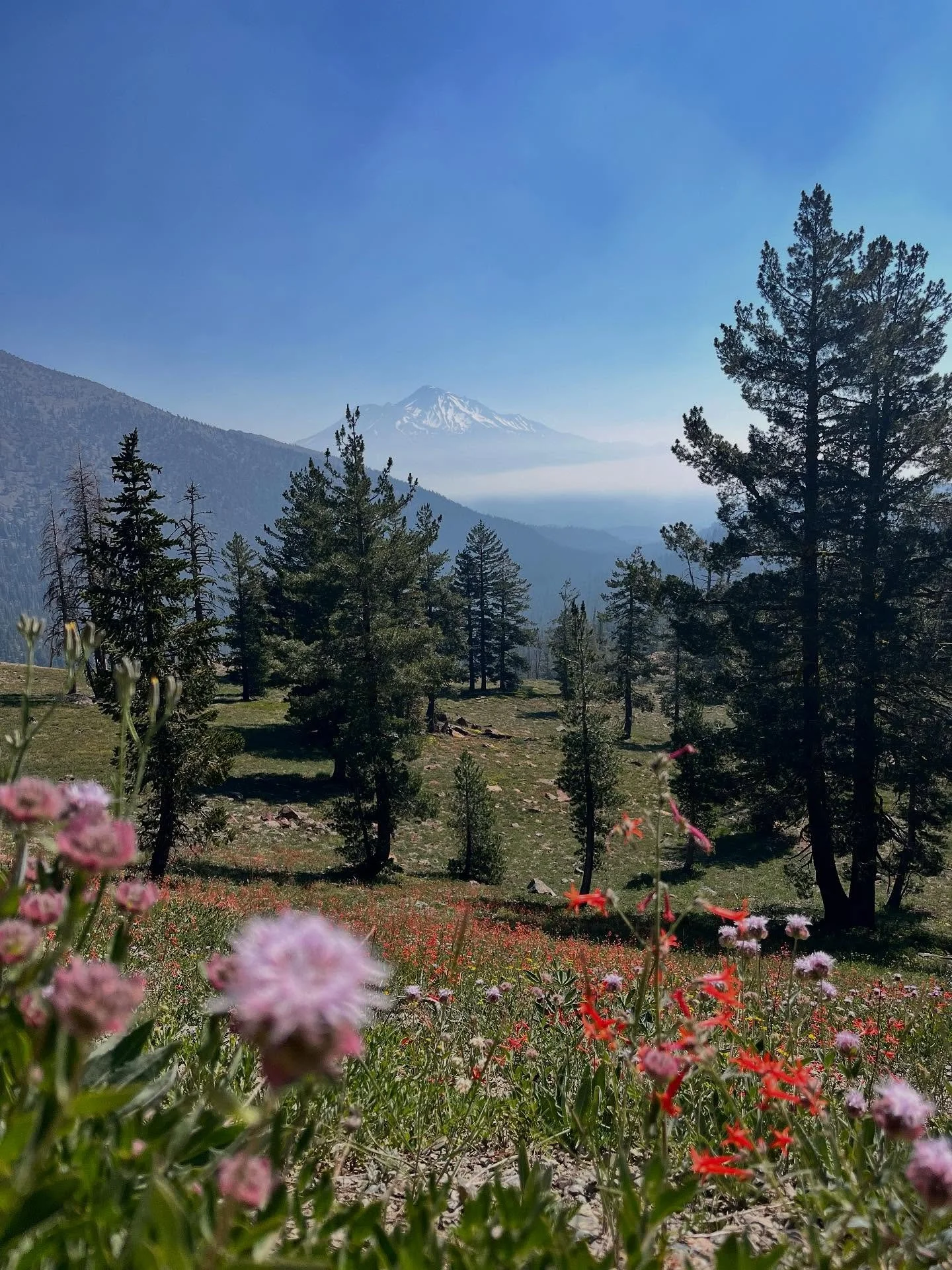 This is your final call! Don&rsquo;t let the season pass you by without one last adventure. Summer is fading fast and if you want to climb Mt Shasta or backpack the PCT, there&rsquo;s just a few weeks remaining. 
Clear Creek: August 15-17, 24-26
PCT 