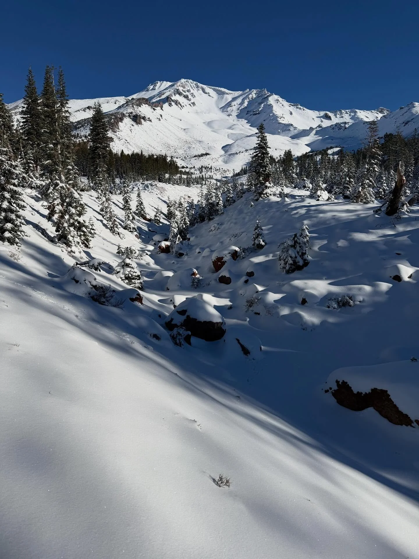 It&rsquo;s been a steady series of storms to start the transition to winter here on Mt. Shasta. Our local weather observer has recorded 9.35&rdquo; of water for the new season, 5.72&rdquo; above average thus far. The storms have been mild with snow l