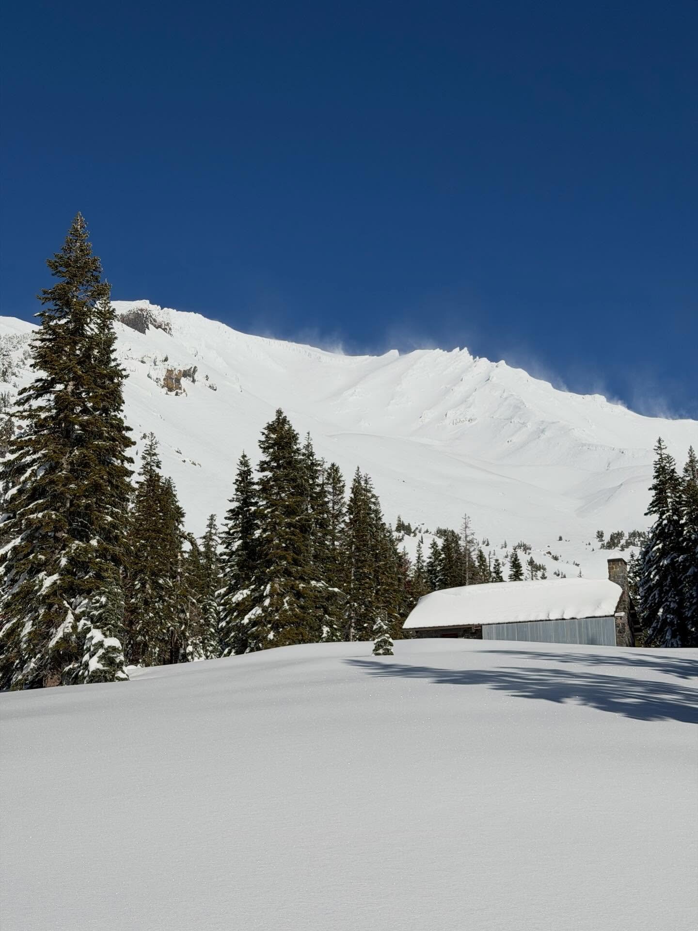 My Shasta is firing! The storms cleared to reveal a plastered volcano. The weather station at 7,600&rsquo; is measuring almost 5&rsquo; of snow on the ground and skiing has been fantastic! With 4 days of high pressure we have another storm arriving T